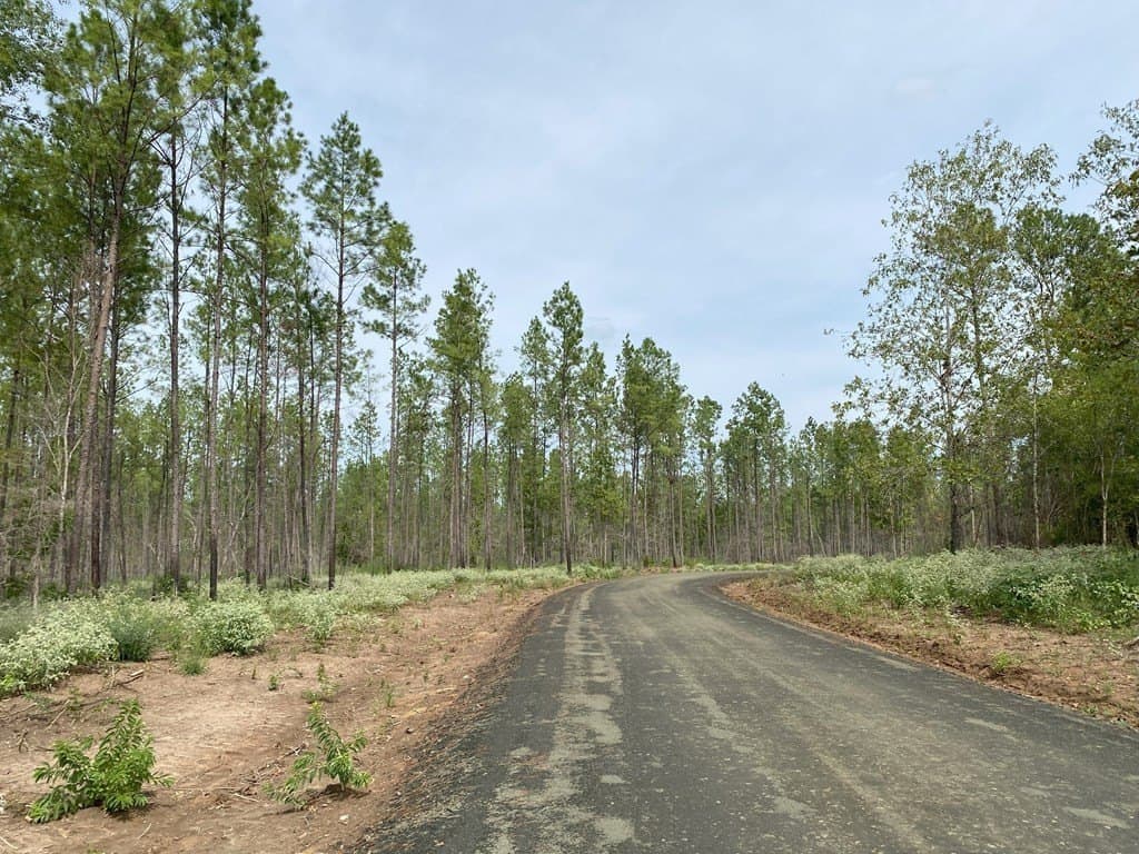 2.13 acres in Texas County - photo 7