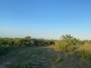 45.15 acres in Calhoun County gallery image 3