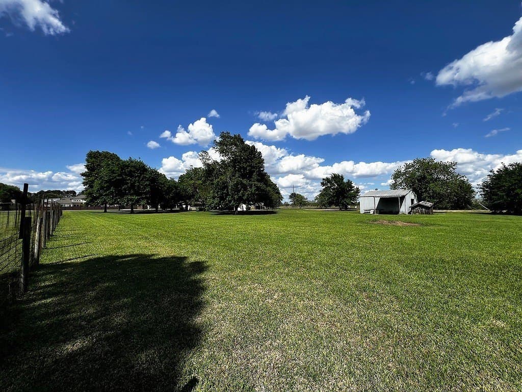 3 acres in Waller County - photo 25
