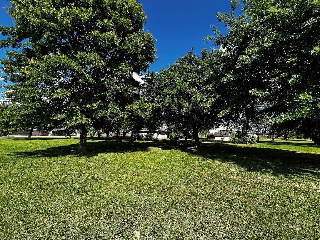 3 acres in Waller County - photo 27
