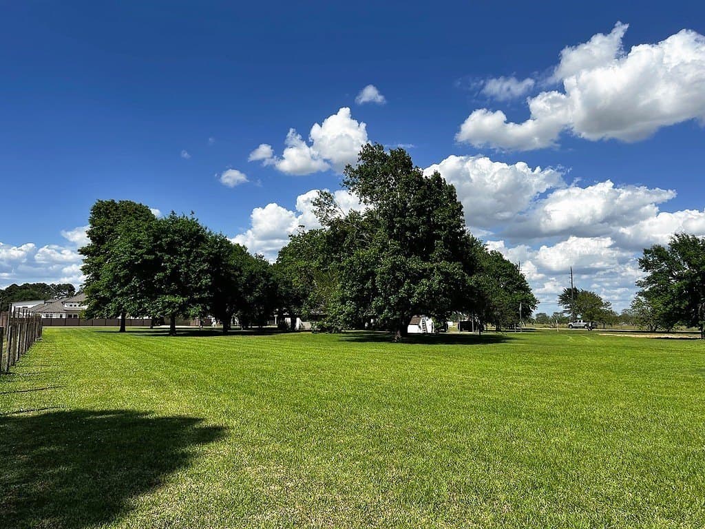 3 acres in Waller County - photo 26