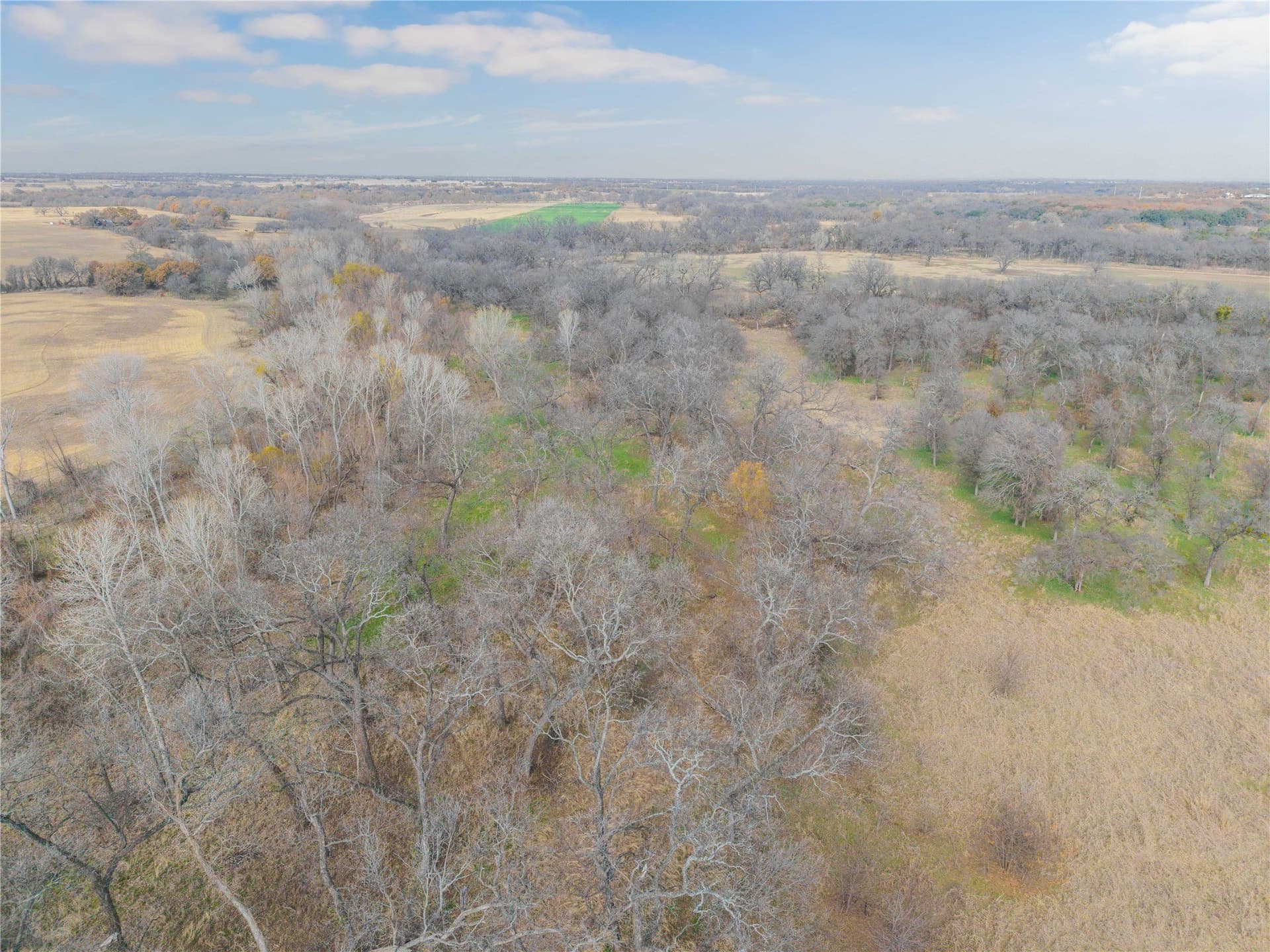 60.27 acres in Comanche County - photo 9