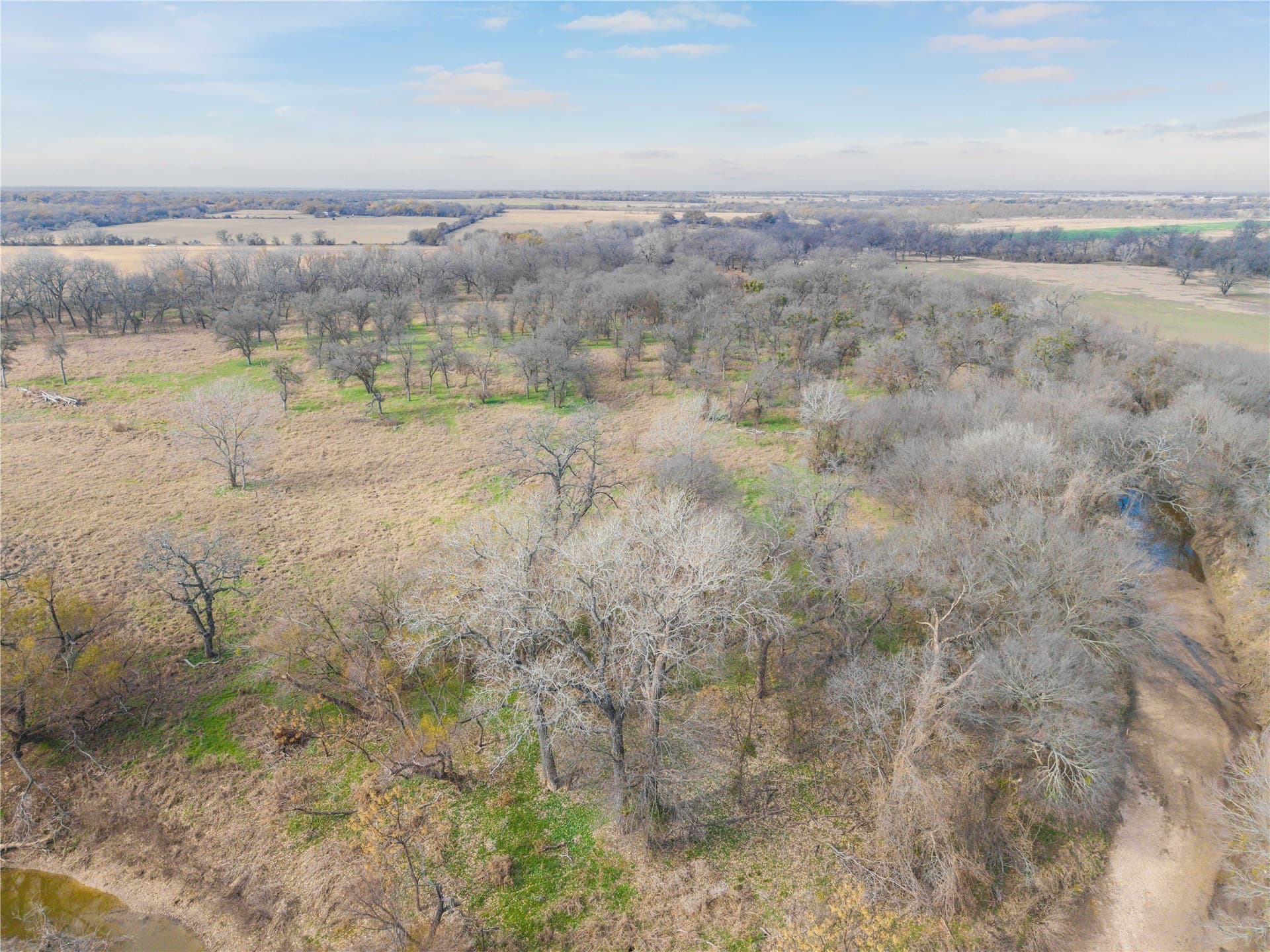 60.27 acres in Comanche County - photo 11