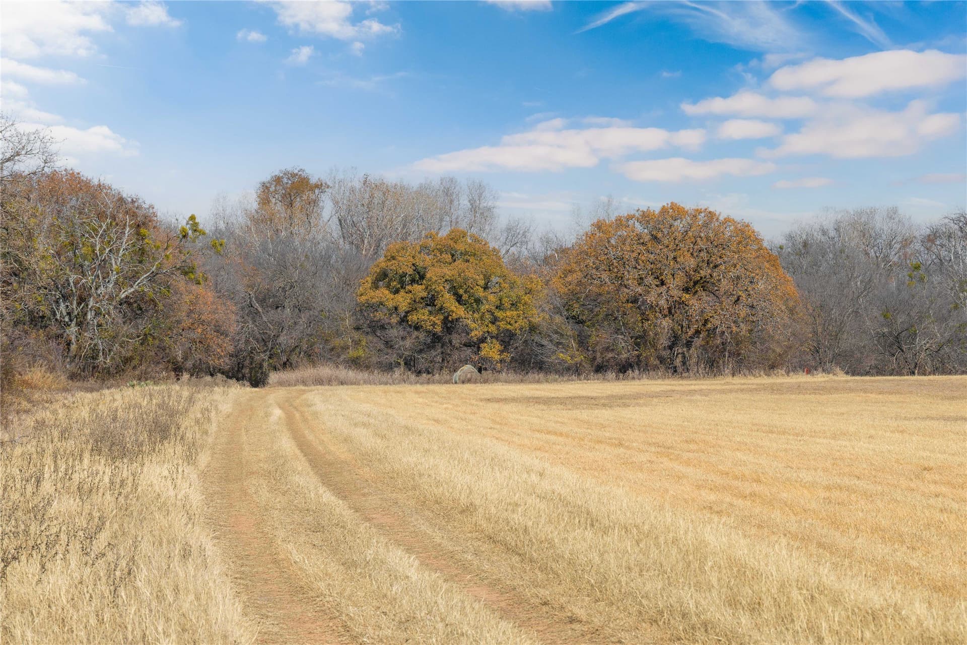 60.27 acres in Comanche County - photo 21