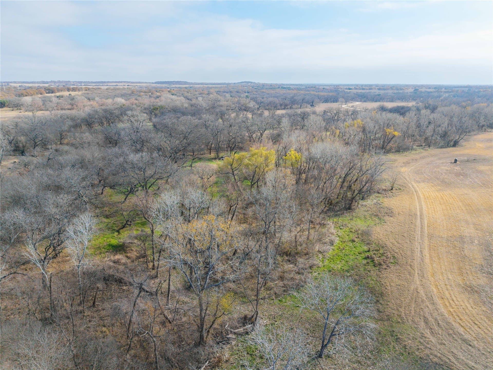 60.27 acres in Comanche County - photo 13