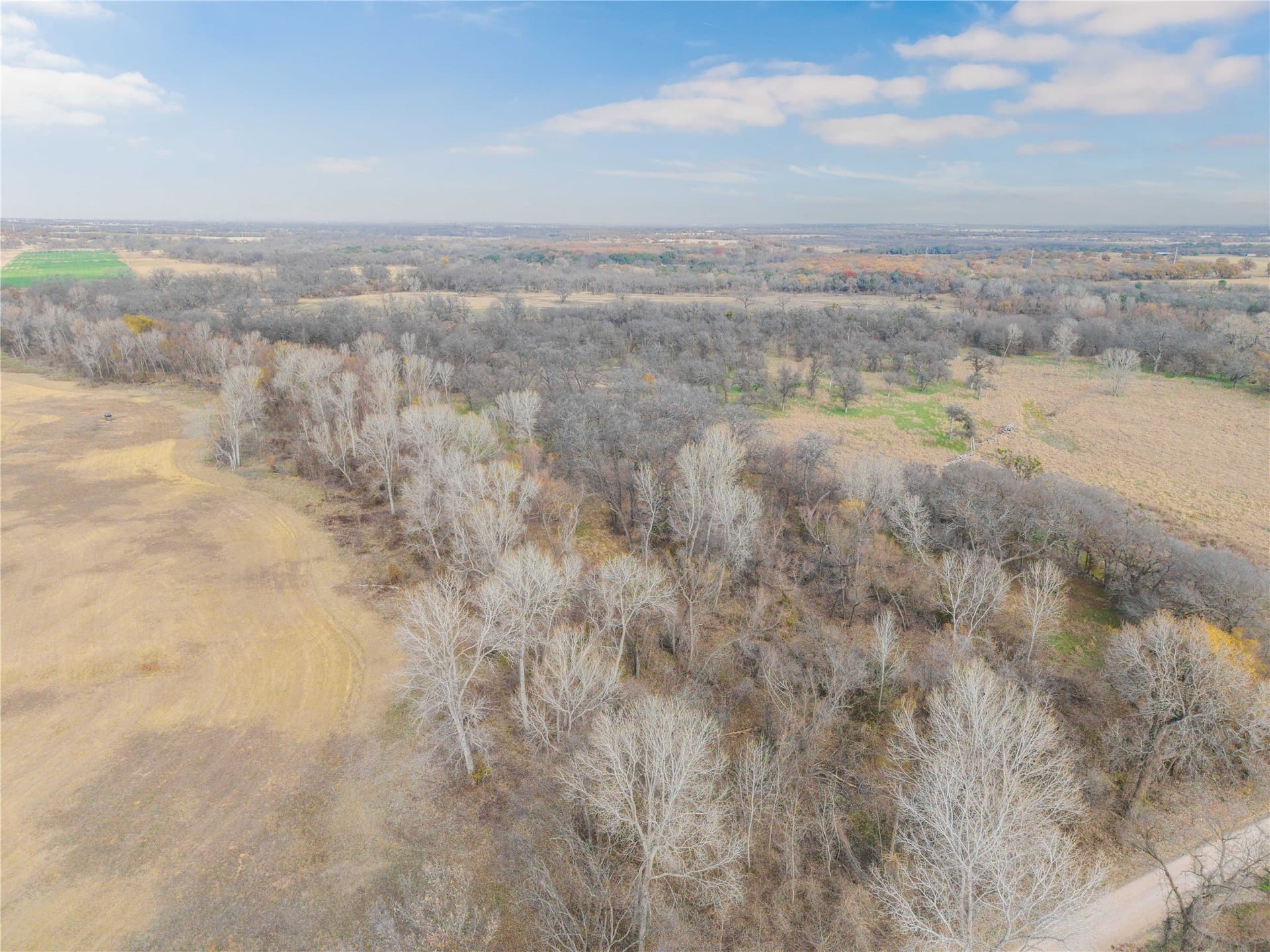 60.27 acres in Comanche County - photo 8