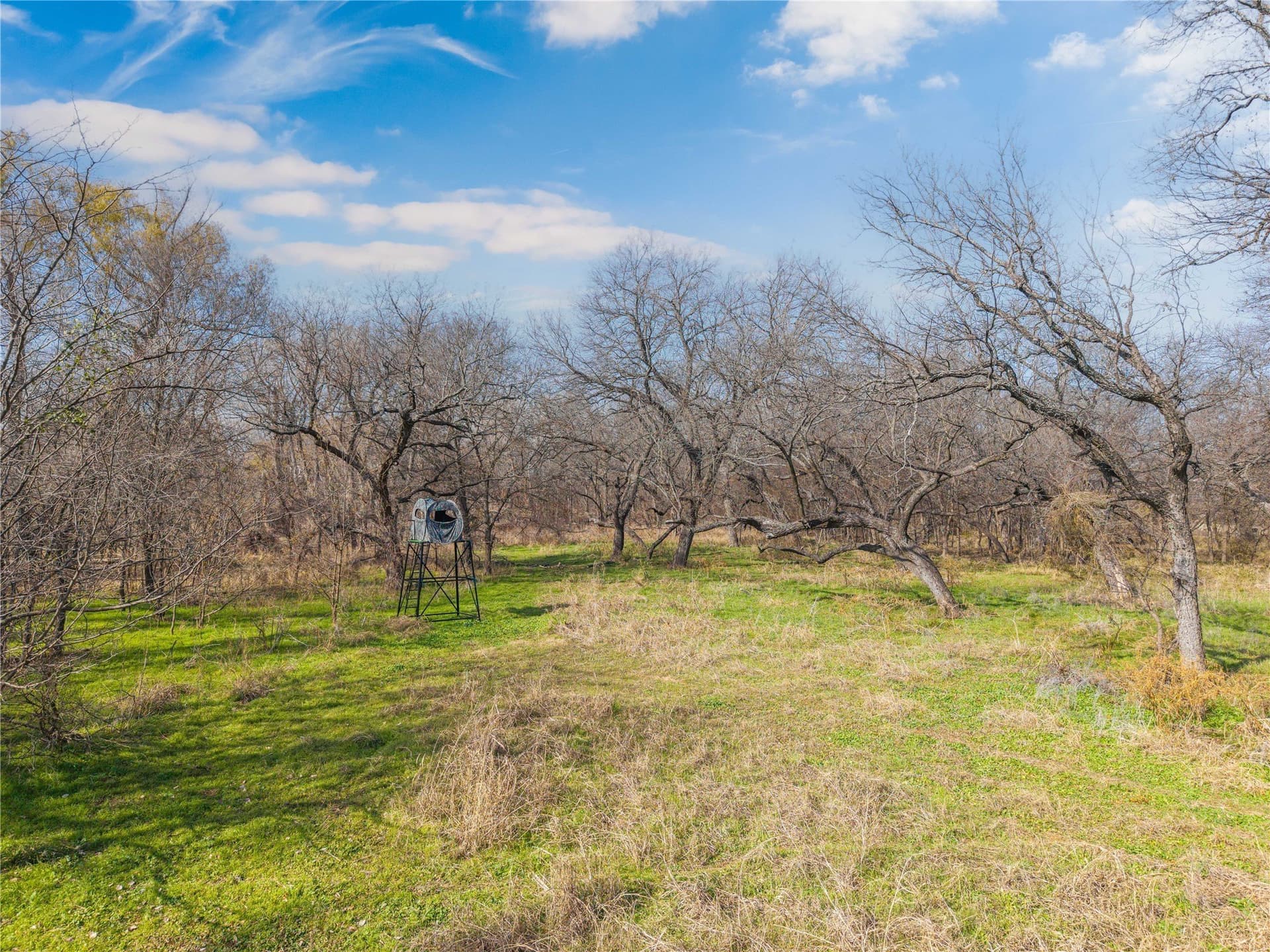 60.27 acres in Comanche County - photo 20