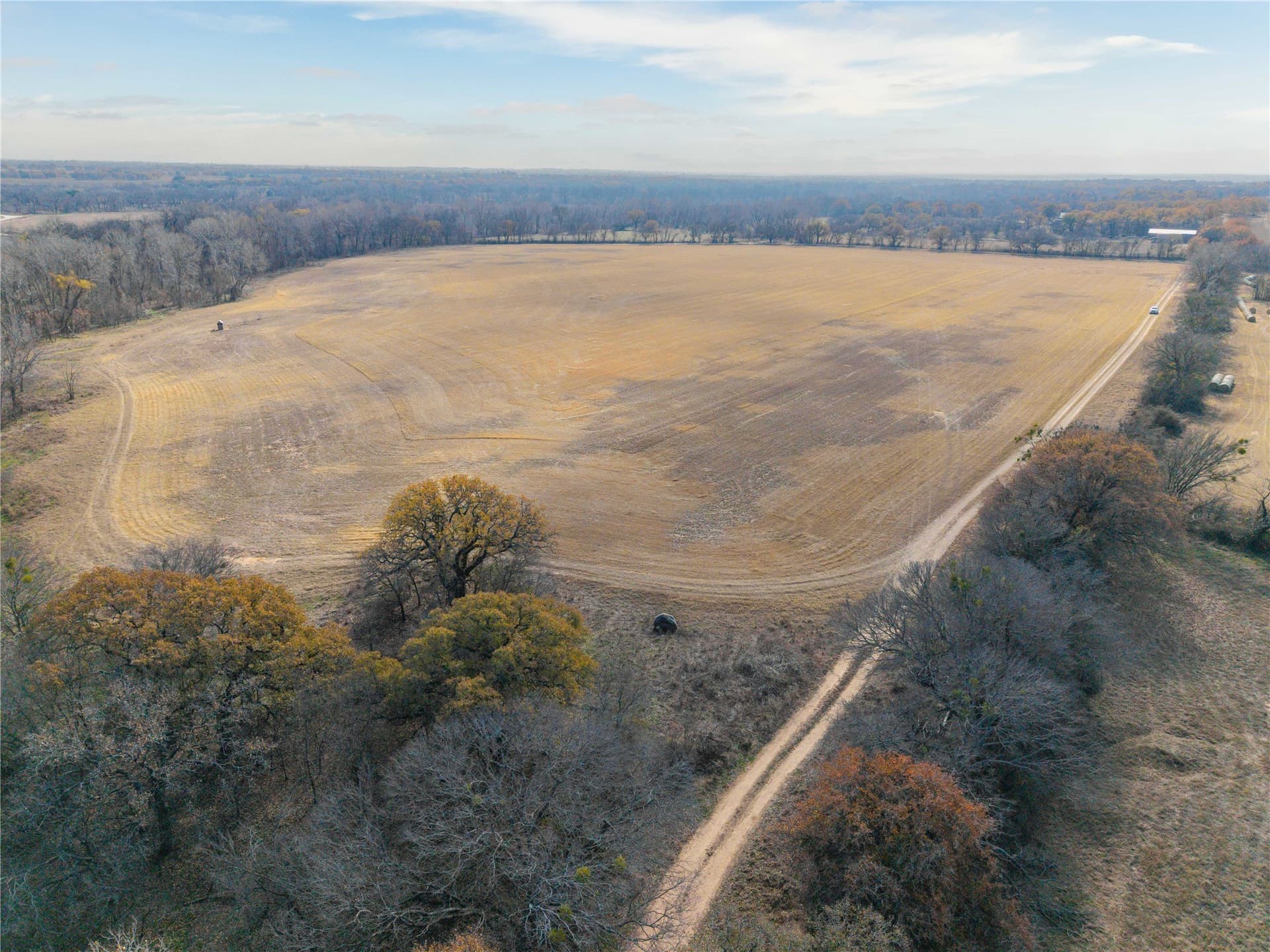 60.27 acres in Comanche County - photo 4
