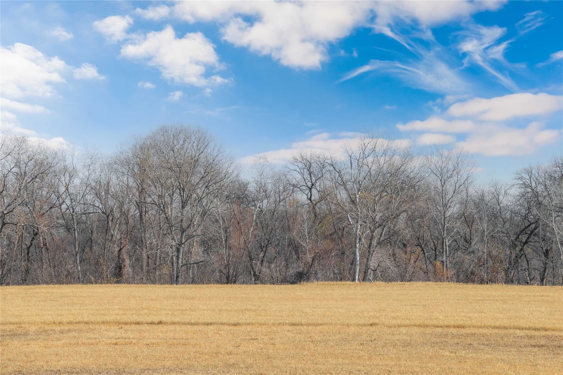 60.27 acres in Comanche County - photo 22