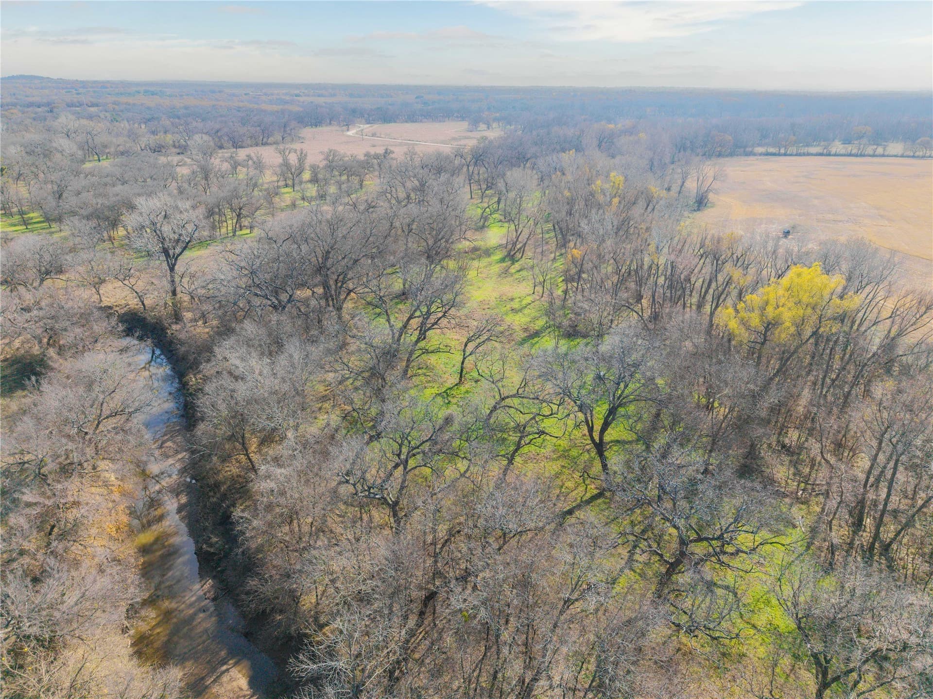 60.27 acres in Comanche County - photo 18