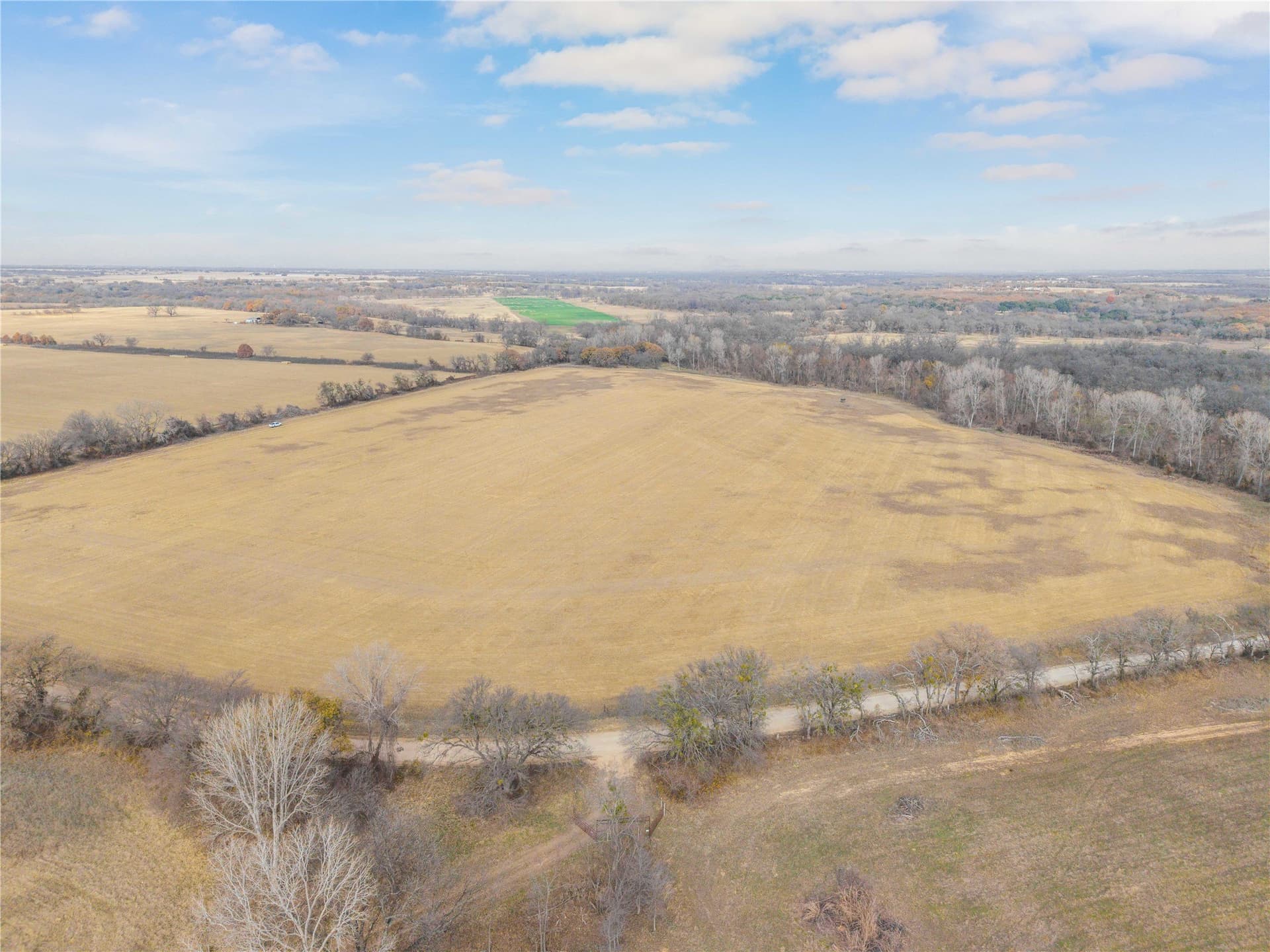 60.27 acres in Comanche County - photo 7