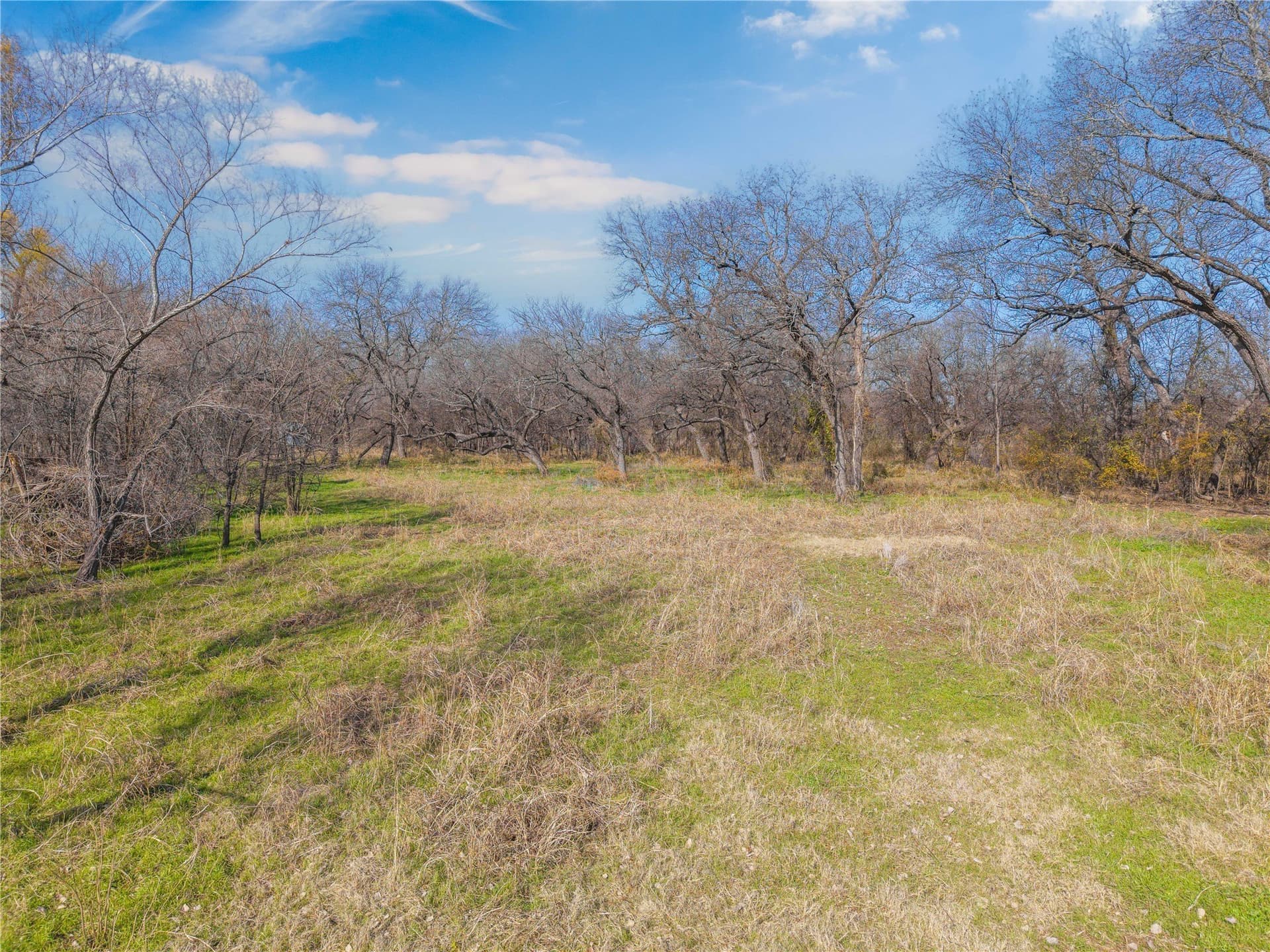 60.27 acres in Comanche County - photo 19
