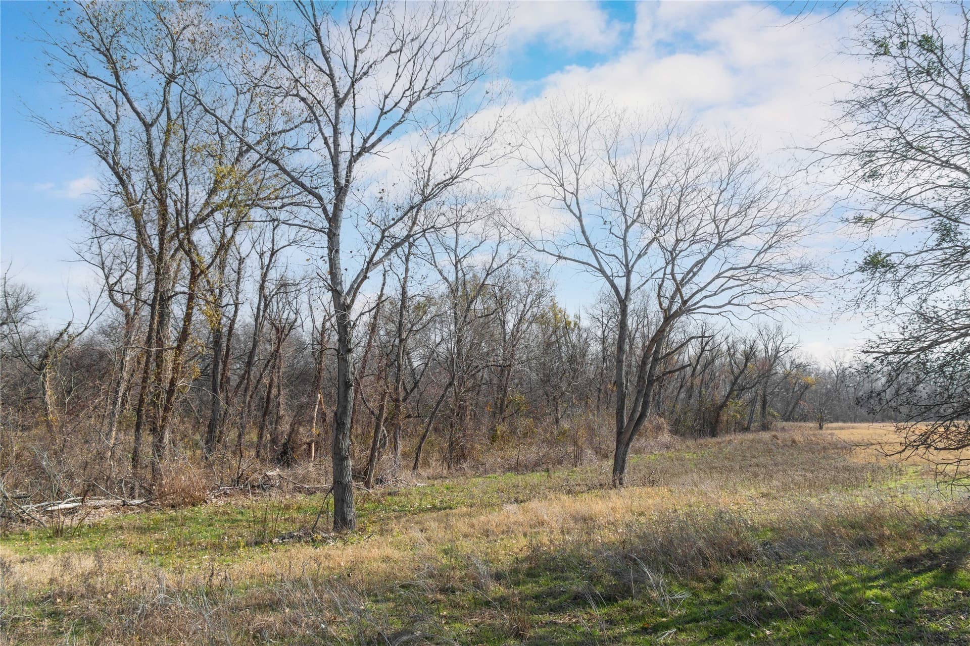 60.27 acres in Comanche County - photo 24