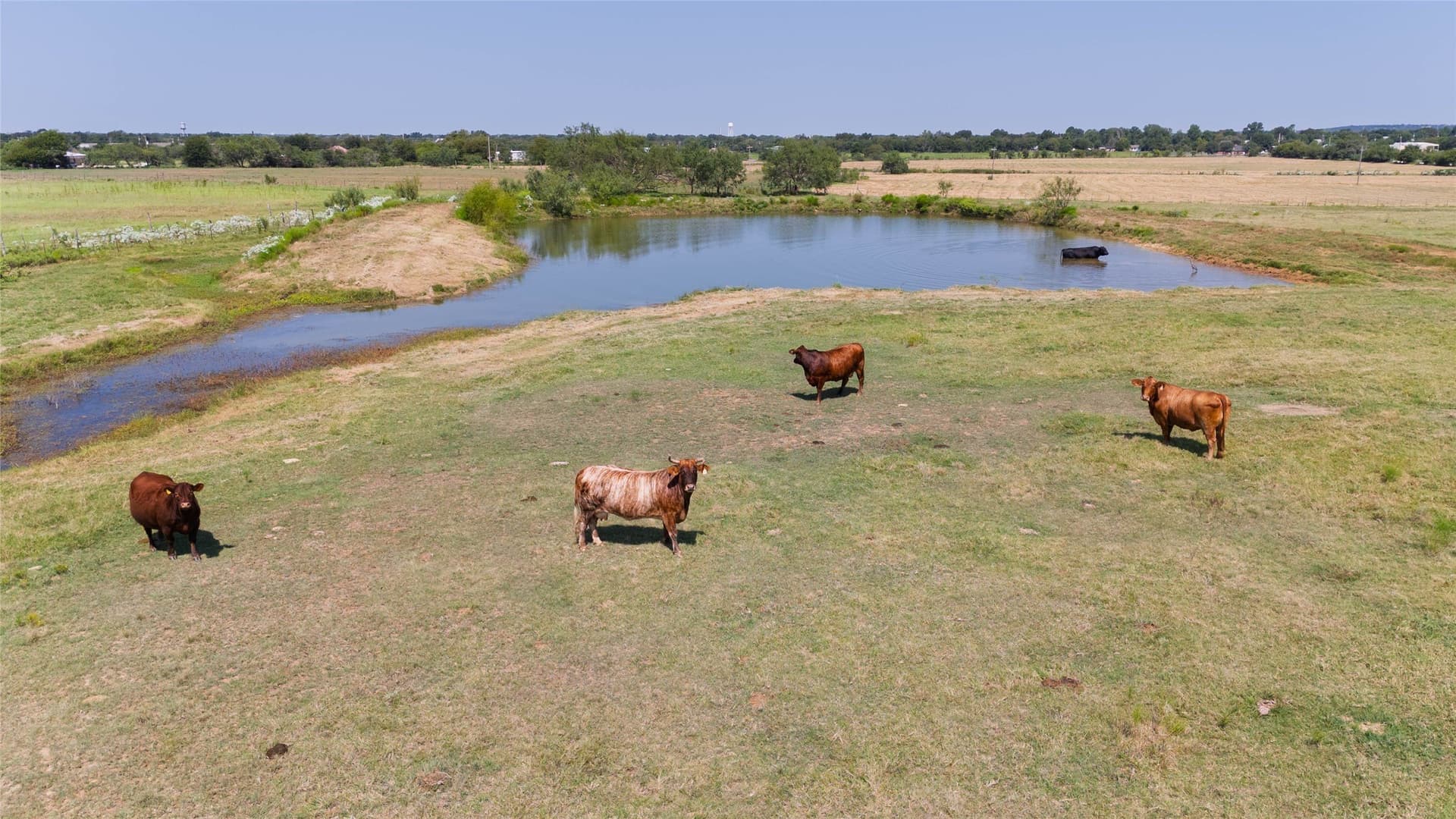164.06 acres in Hill County - photo 30