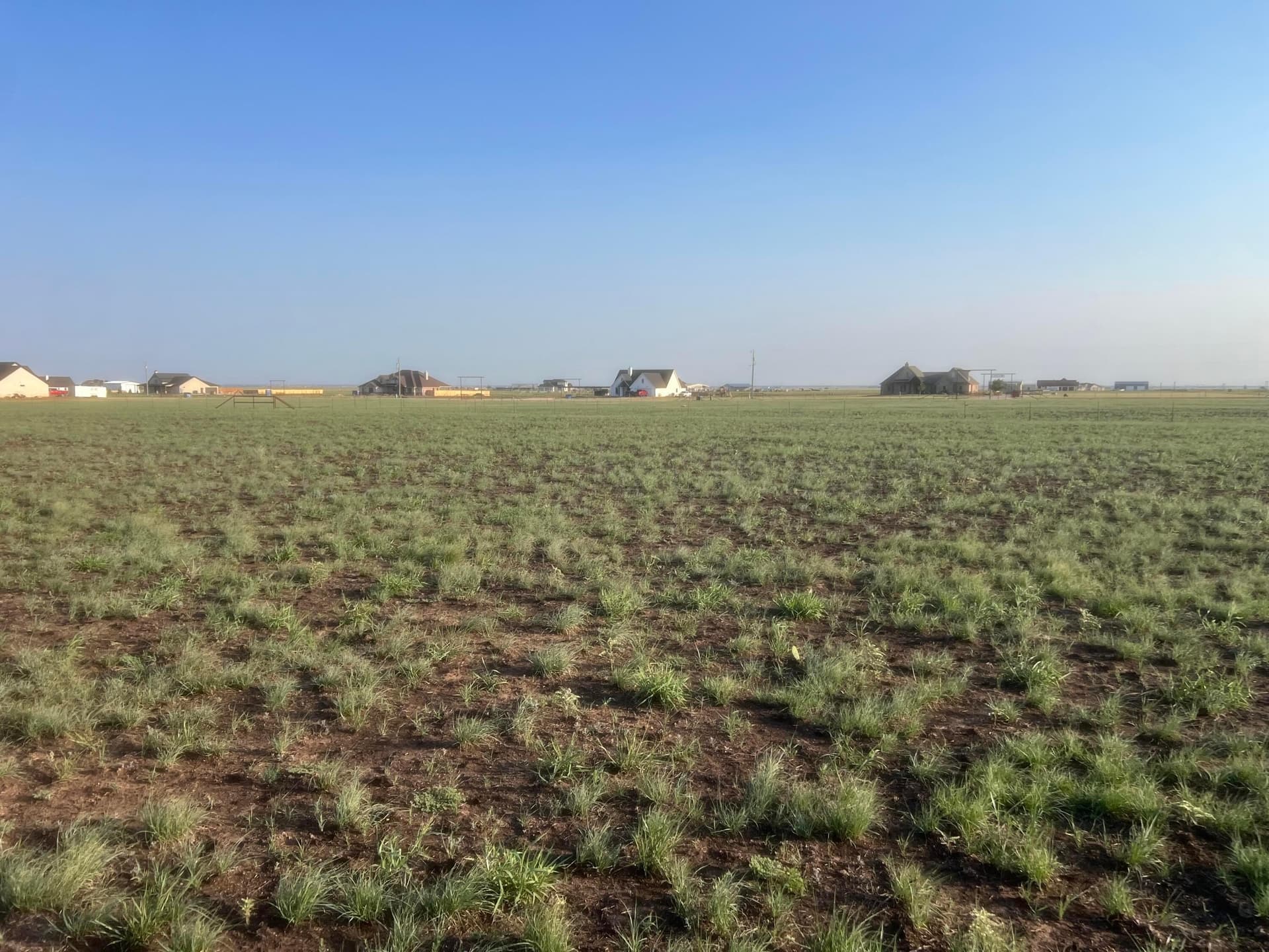 11.79 acres in Randall County gallery image 3