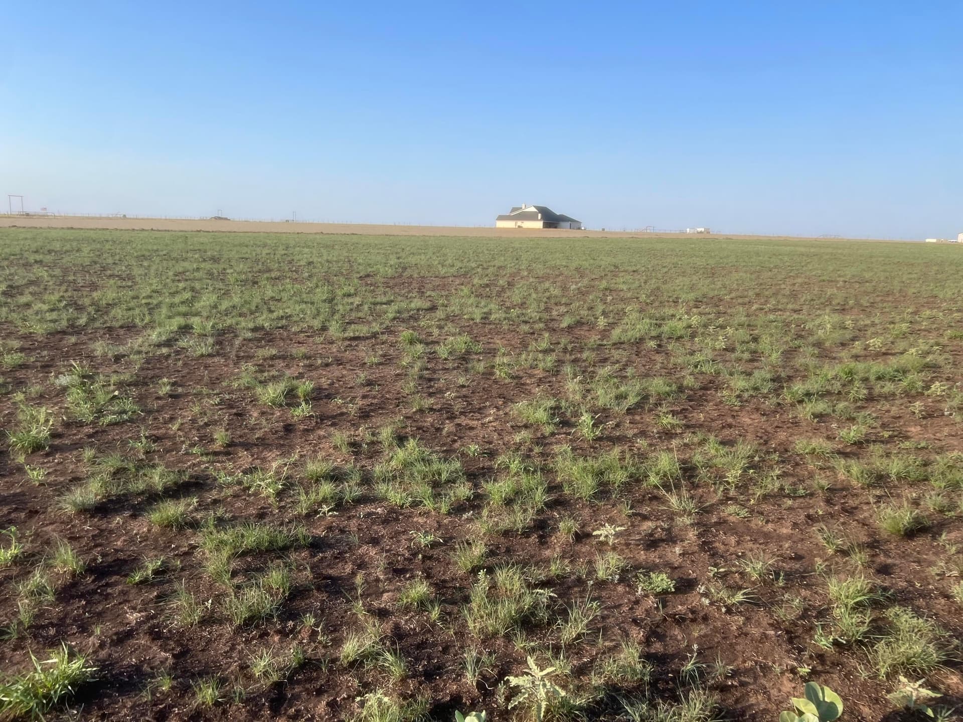 11.79 acres in Randall County featured view
