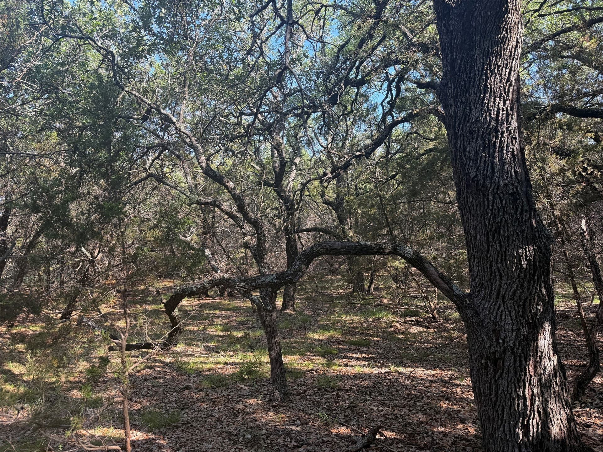 10.06 acres in Lampasas County - photo 13