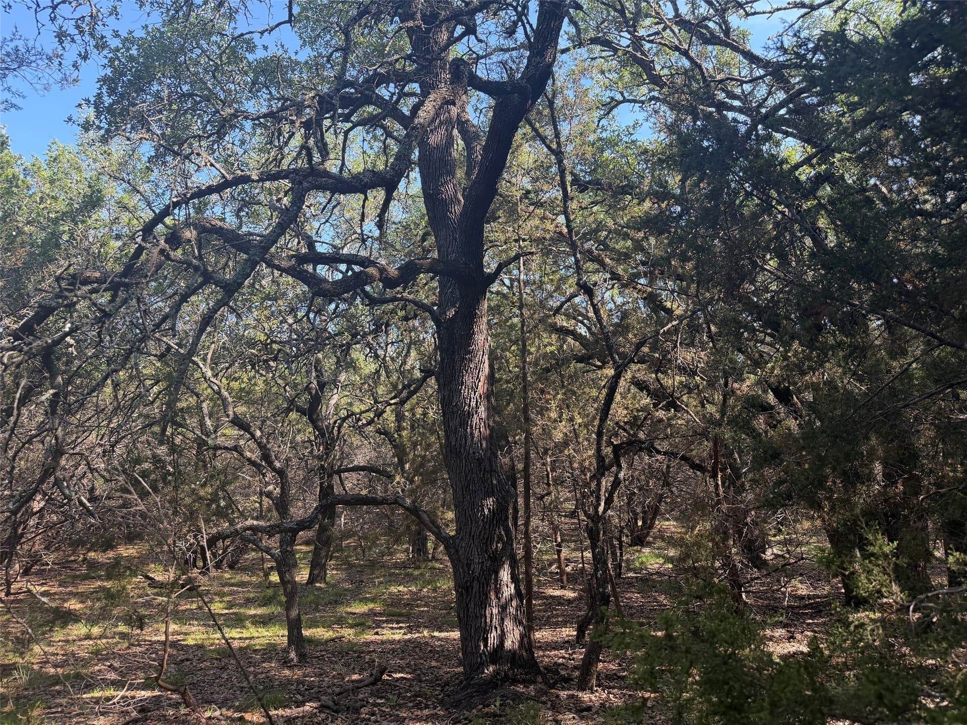 10.06 acres in Lampasas County - photo 6