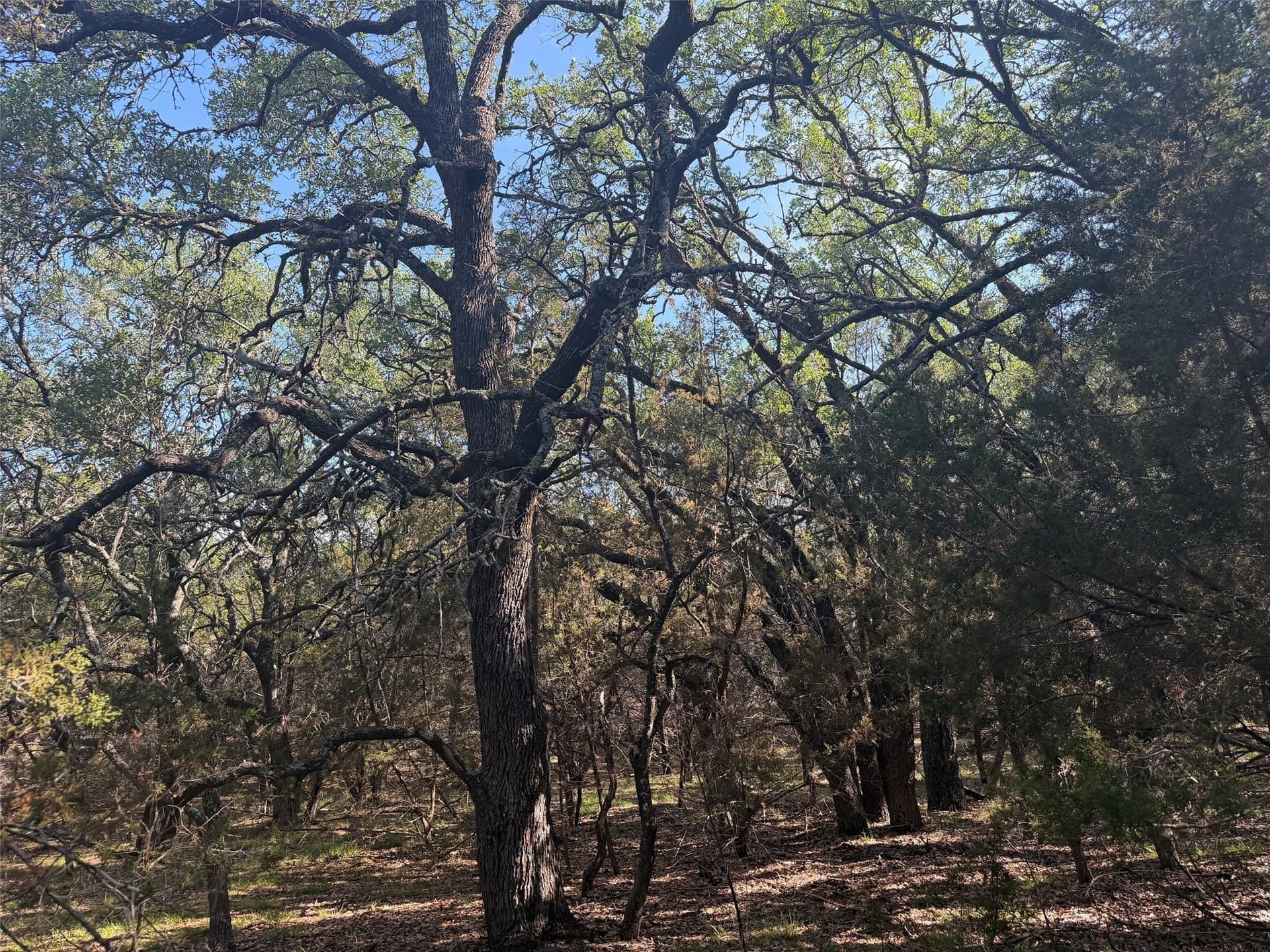 10.06 acres in Lampasas County - photo 12