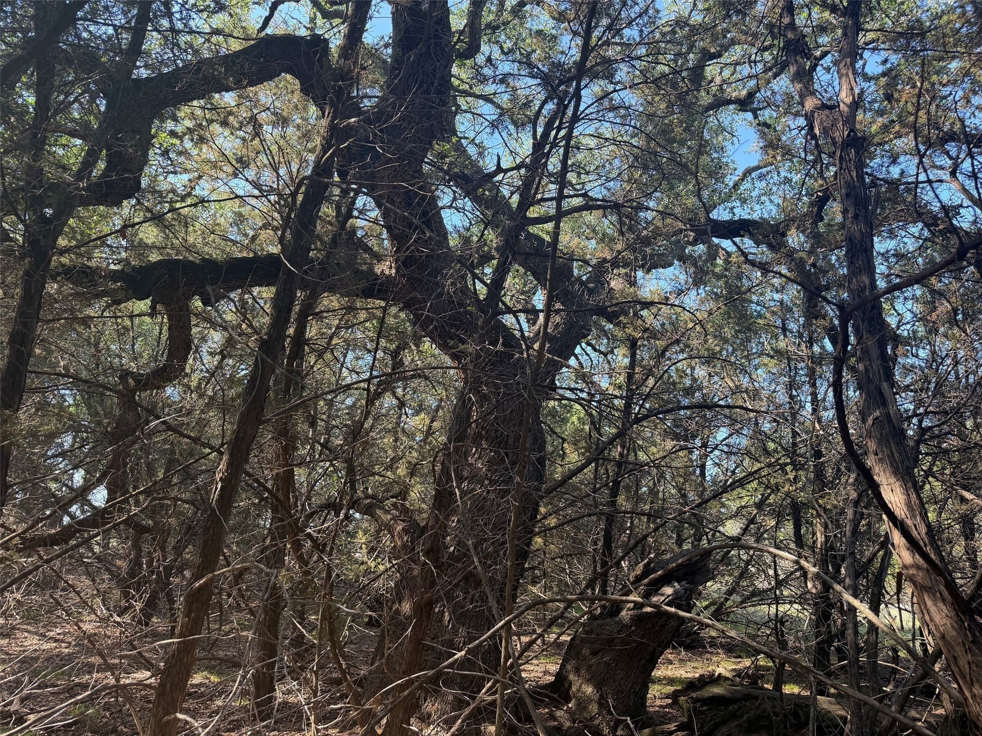 10.06 acres in Lampasas County - photo 14