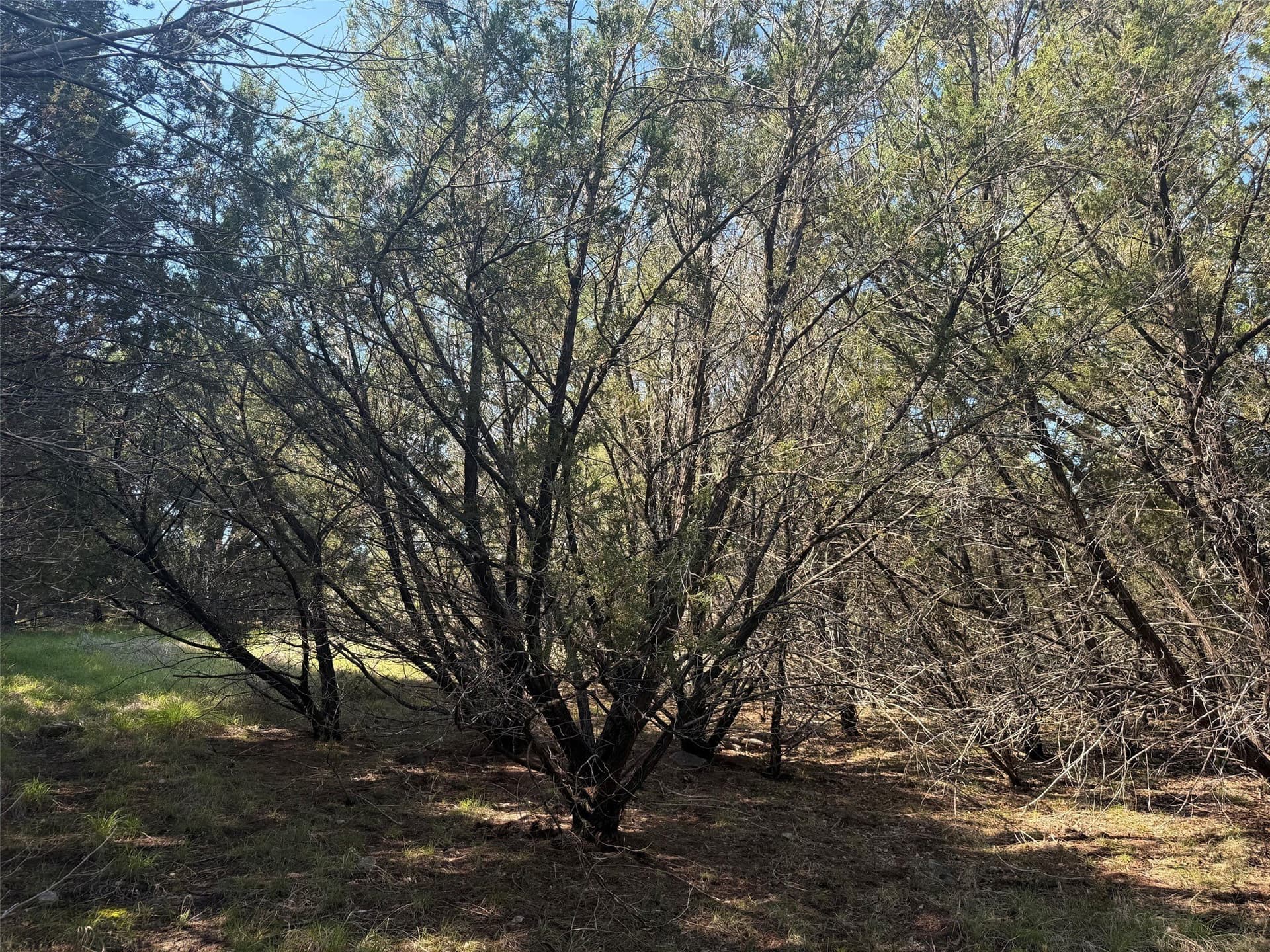 10.06 acres in Lampasas County - photo 7