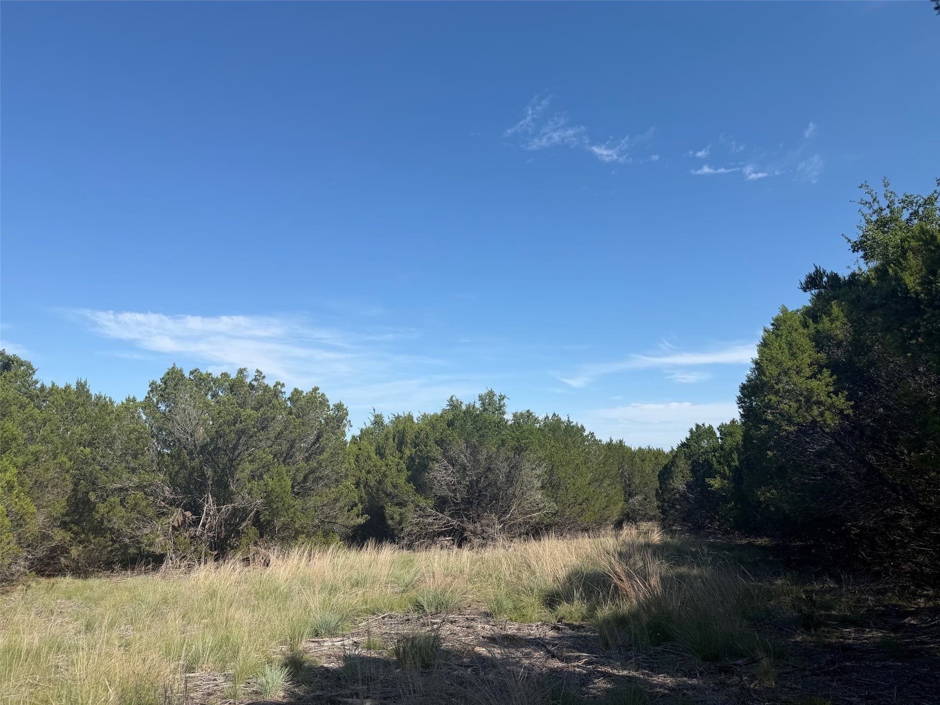 10.06 acres in Lampasas County - photo 9