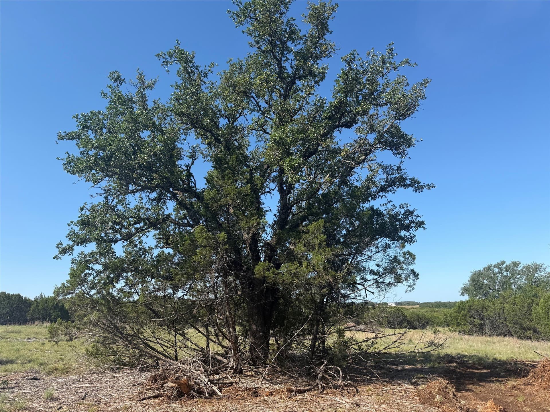 10.06 acres in Lampasas County - photo 8