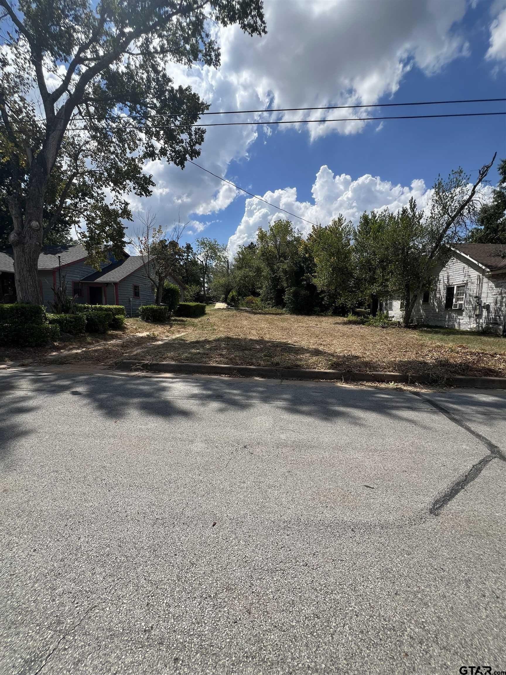 0.21 acres in Smith County - photo 3