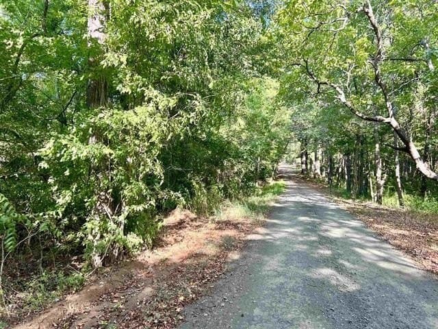 17.9 acres in Texas County gallery image 3