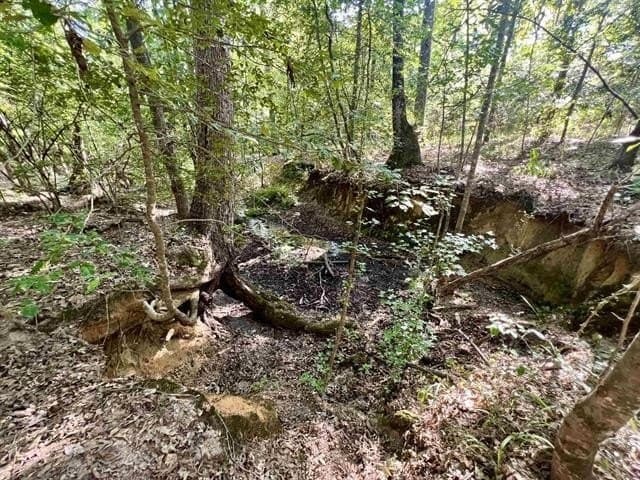 17.9 acres in Texas County featured view