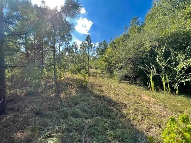 17.9 acres in Texas County gallery image 4