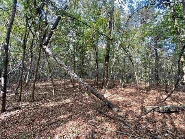 17.9 acres in Texas County gallery image 2