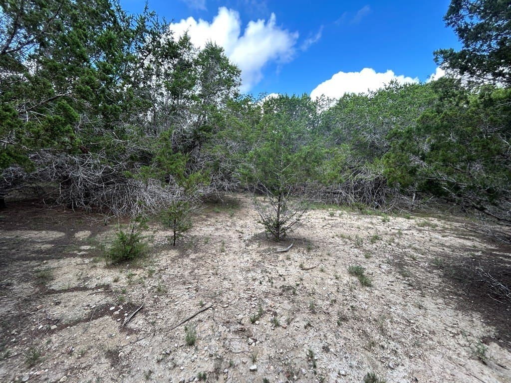 6.96 acres in Kerr County gallery image 4