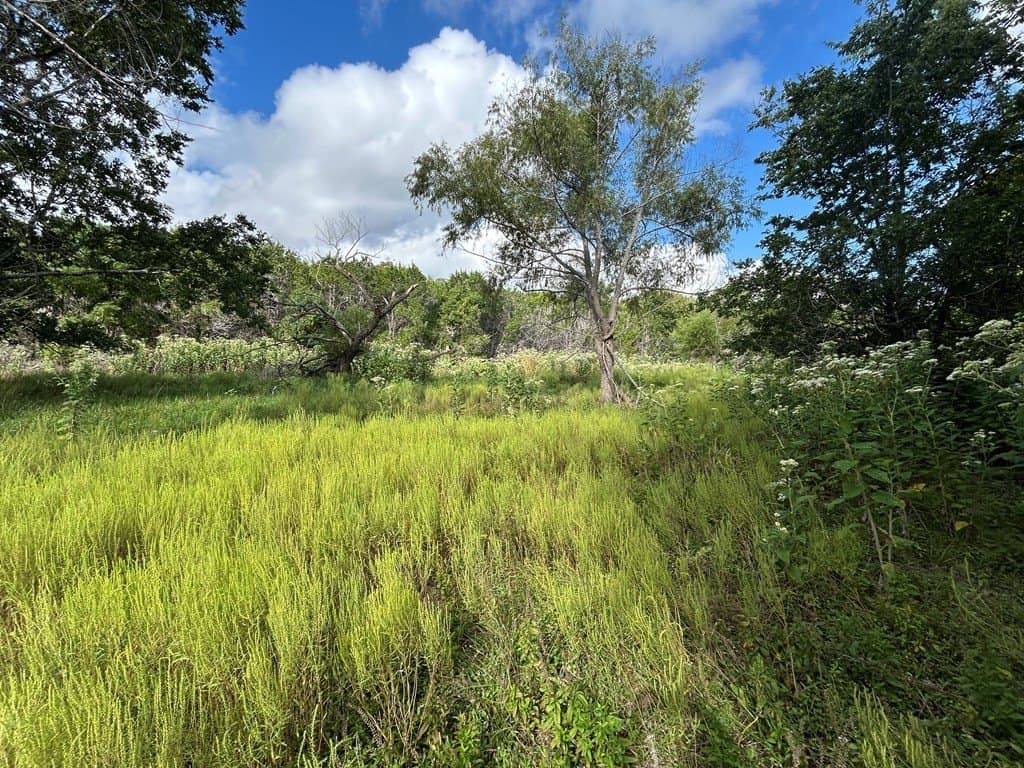 6.96 acres in Kerr County gallery image 2