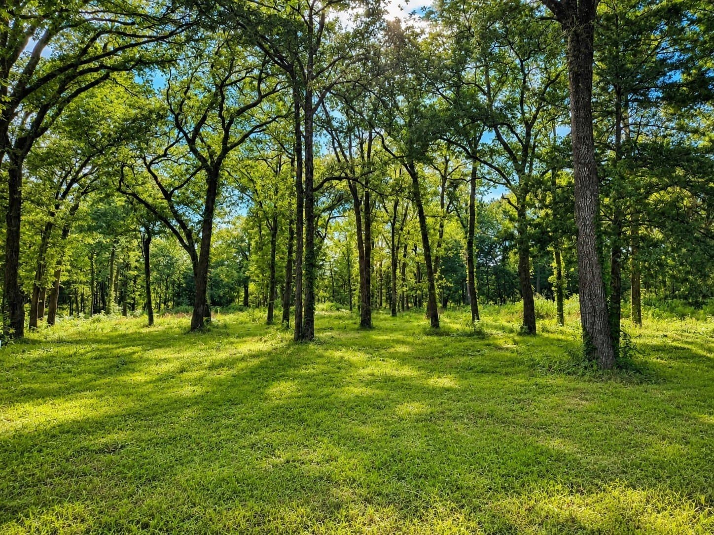 2 acres in Rains County - photo 2