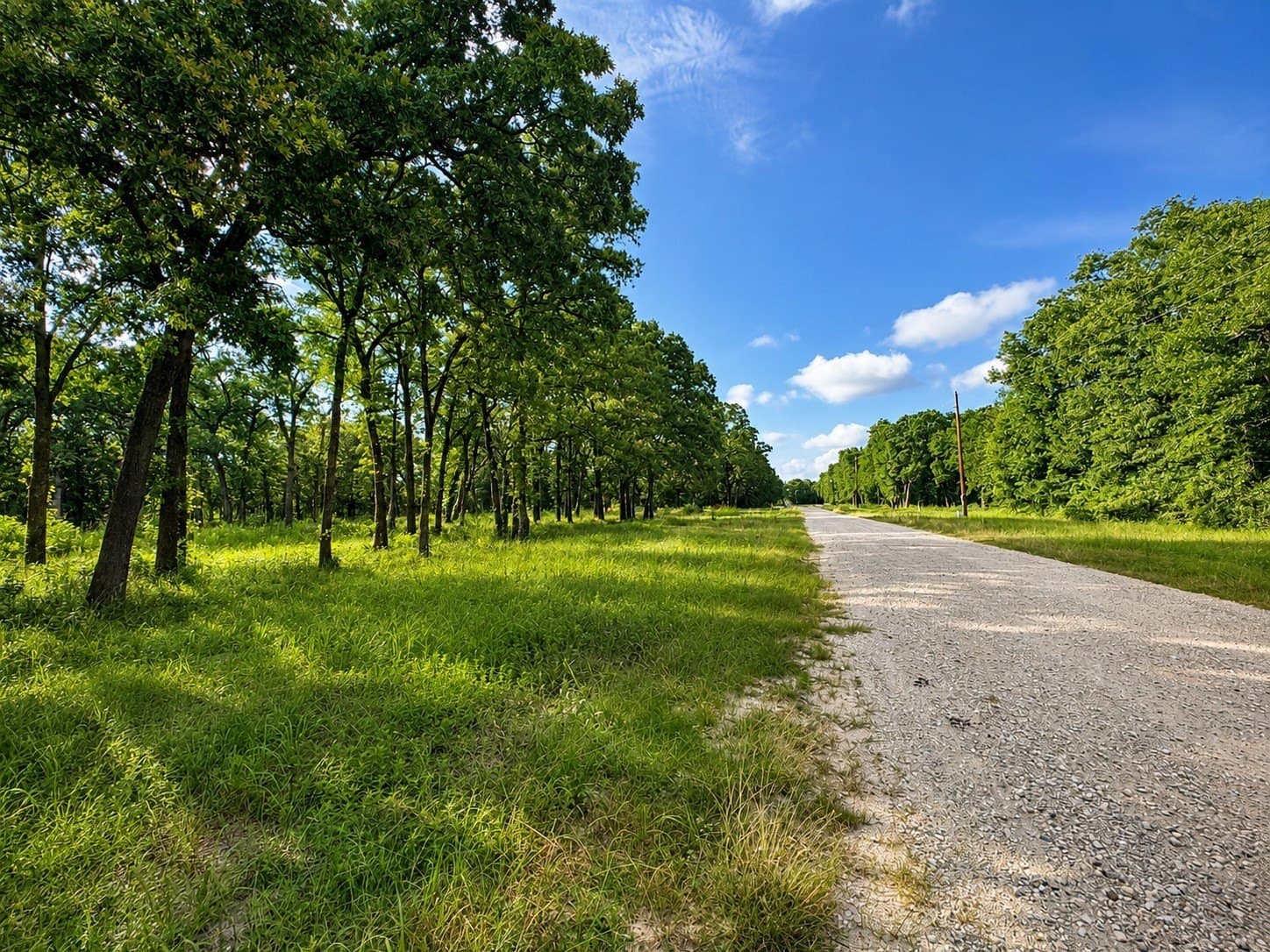2 acres in Rains County - photo 5