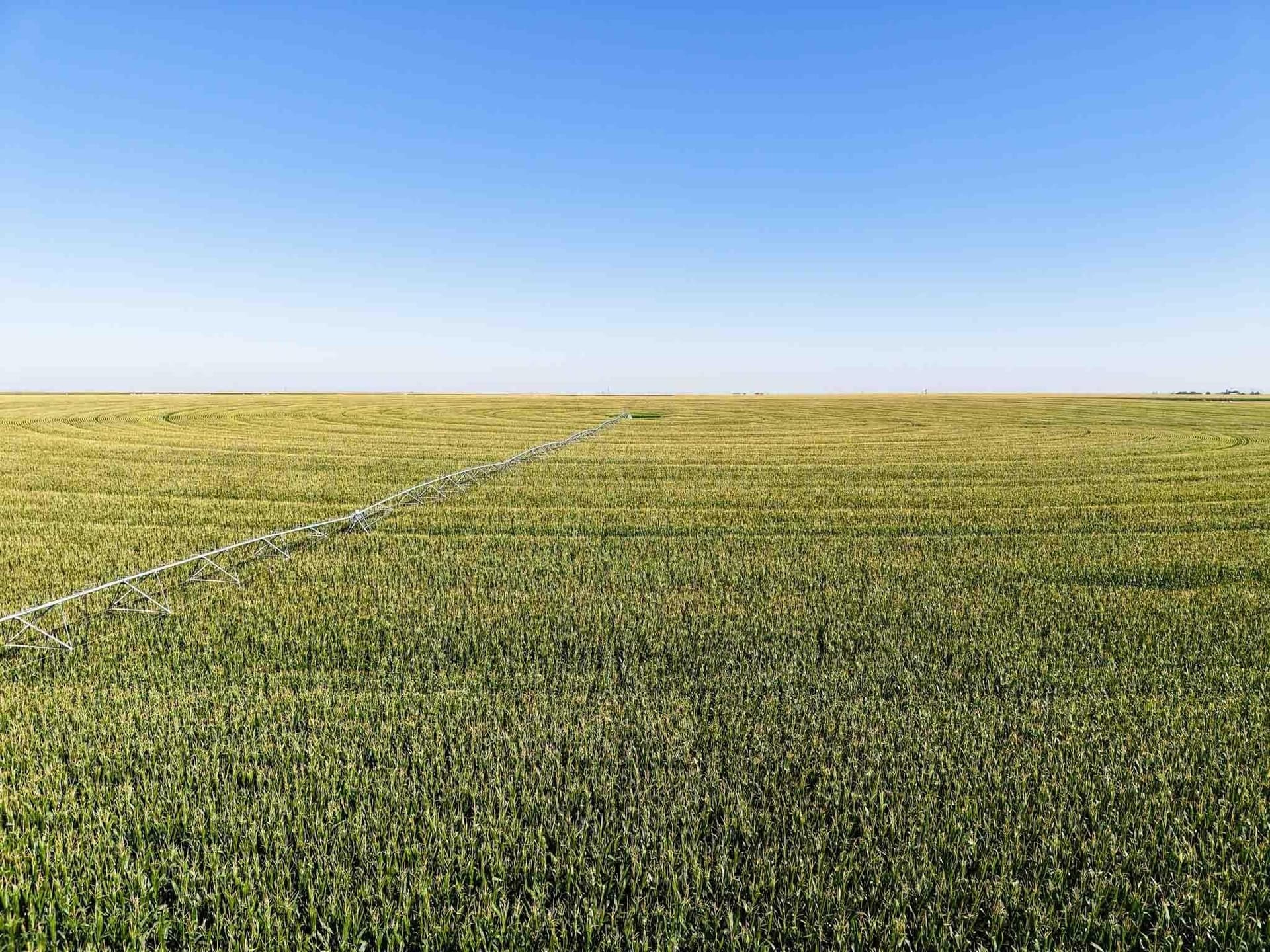 516.34 acres in Castro County - photo 13