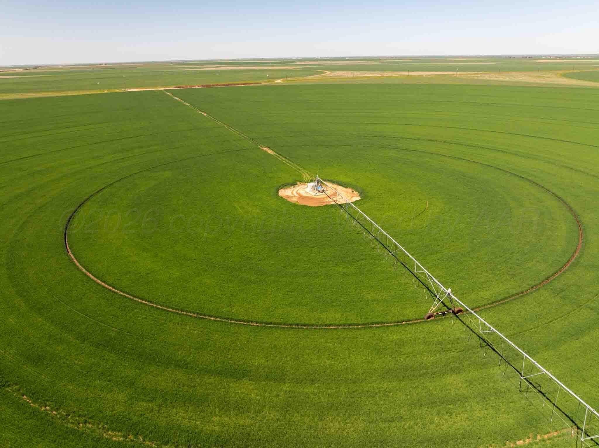 516.34 acres in Castro County - photo 9