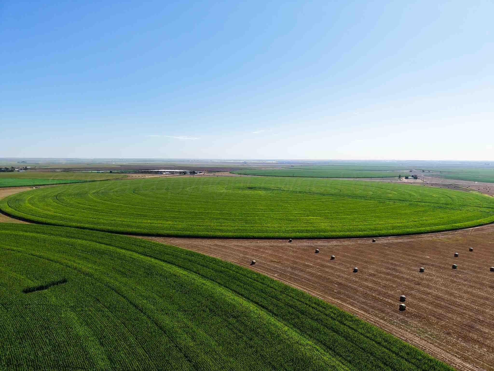516.34 acres in Castro County - photo 14