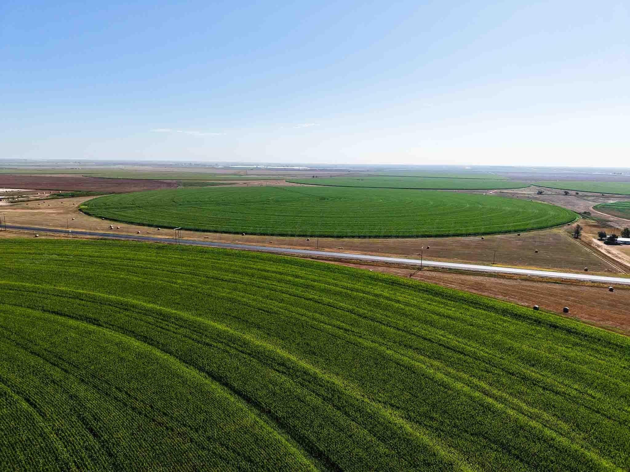 516.34 acres in Castro County - photo 16