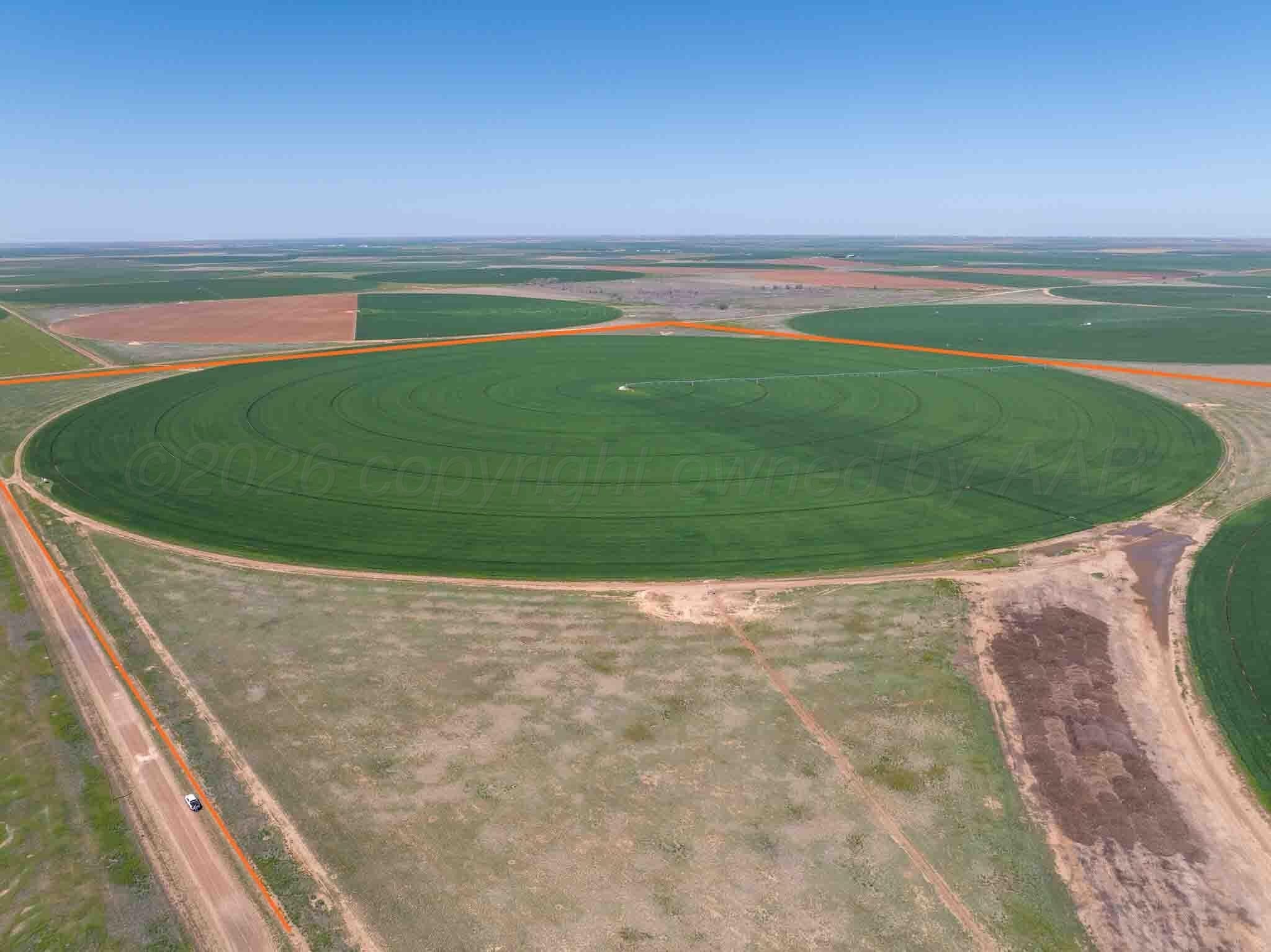 516.34 acres in Castro County gallery image 4