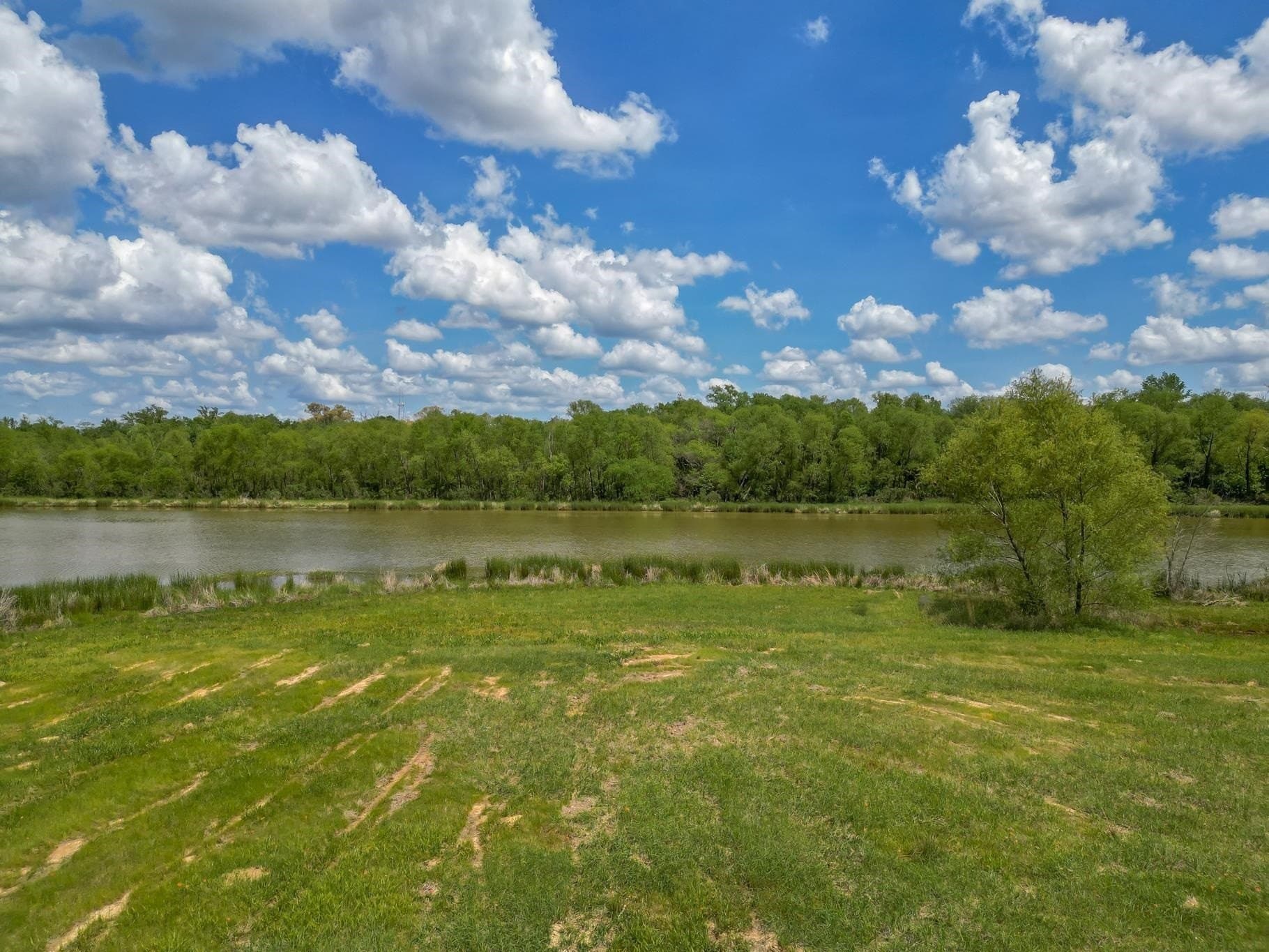 6.65 acres in Gregg County gallery image 2