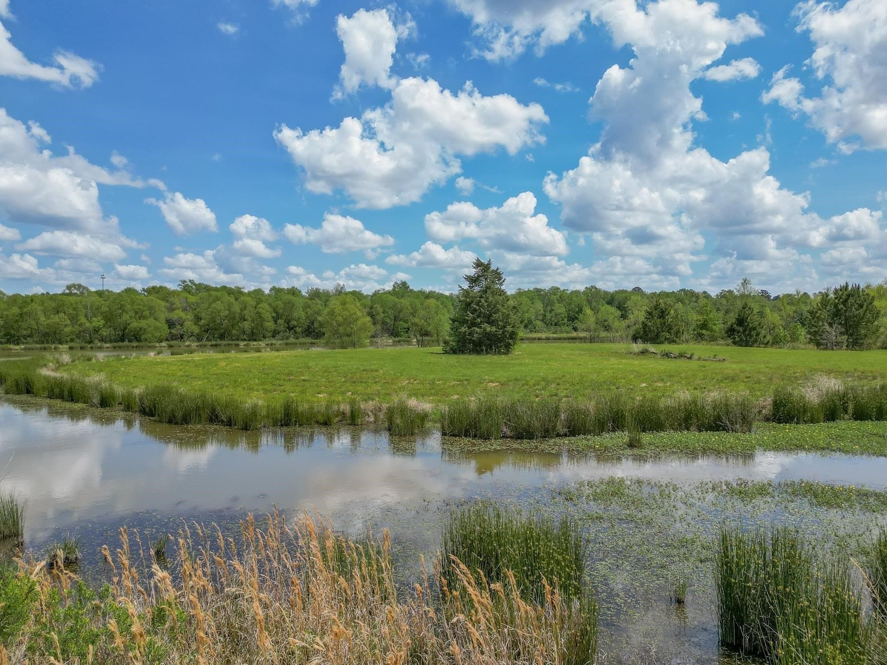 6.65 acres in Gregg County featured view