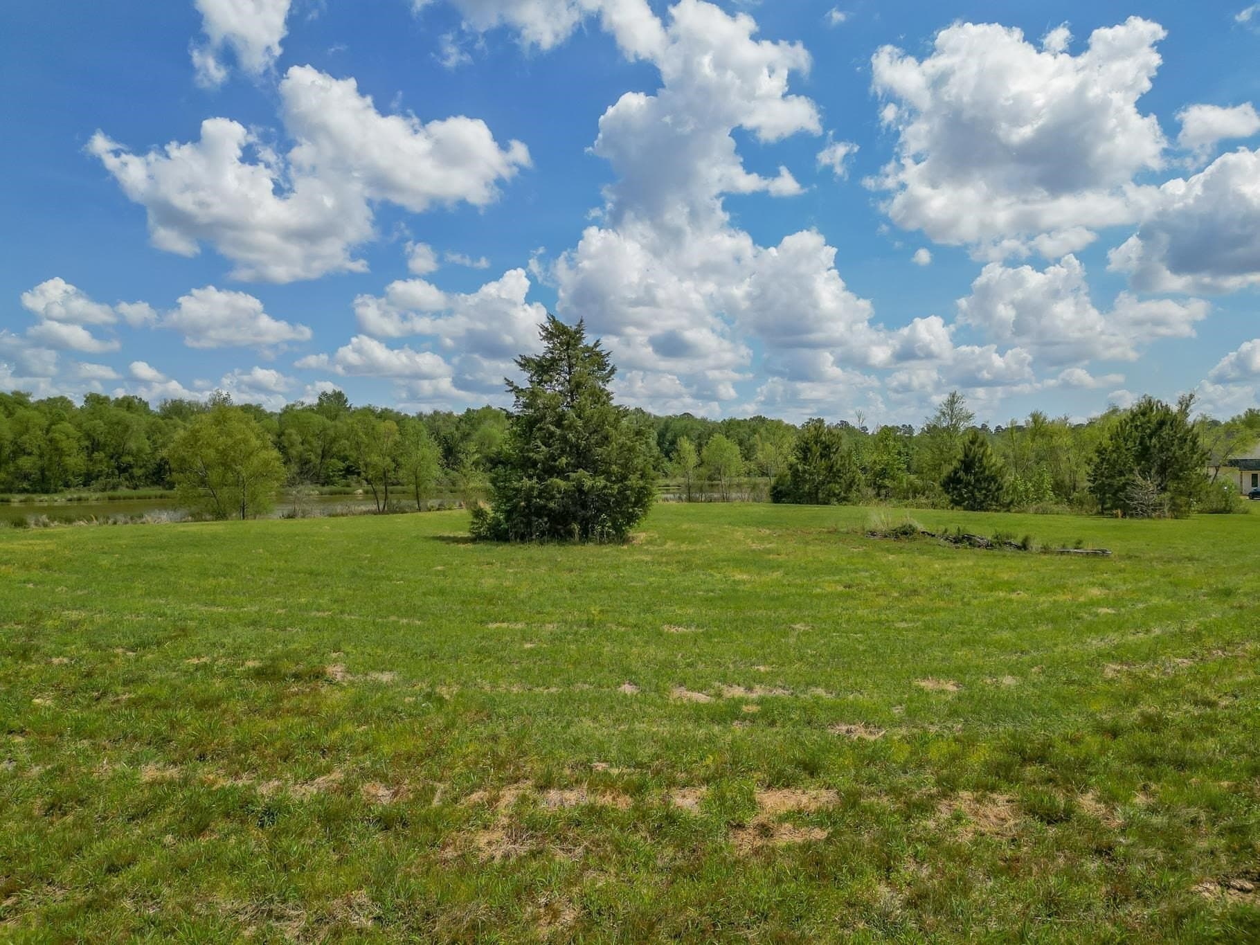 6.65 acres in Gregg County gallery image 4