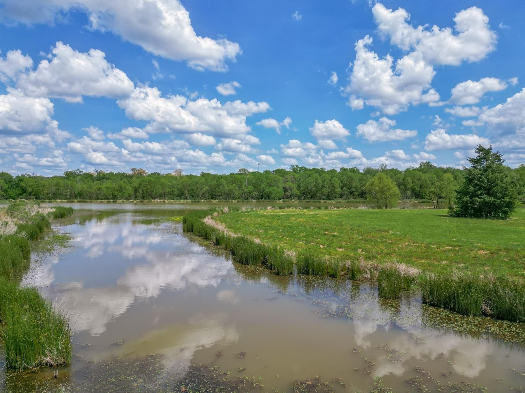 6.65 acres in Gregg County gallery image 3