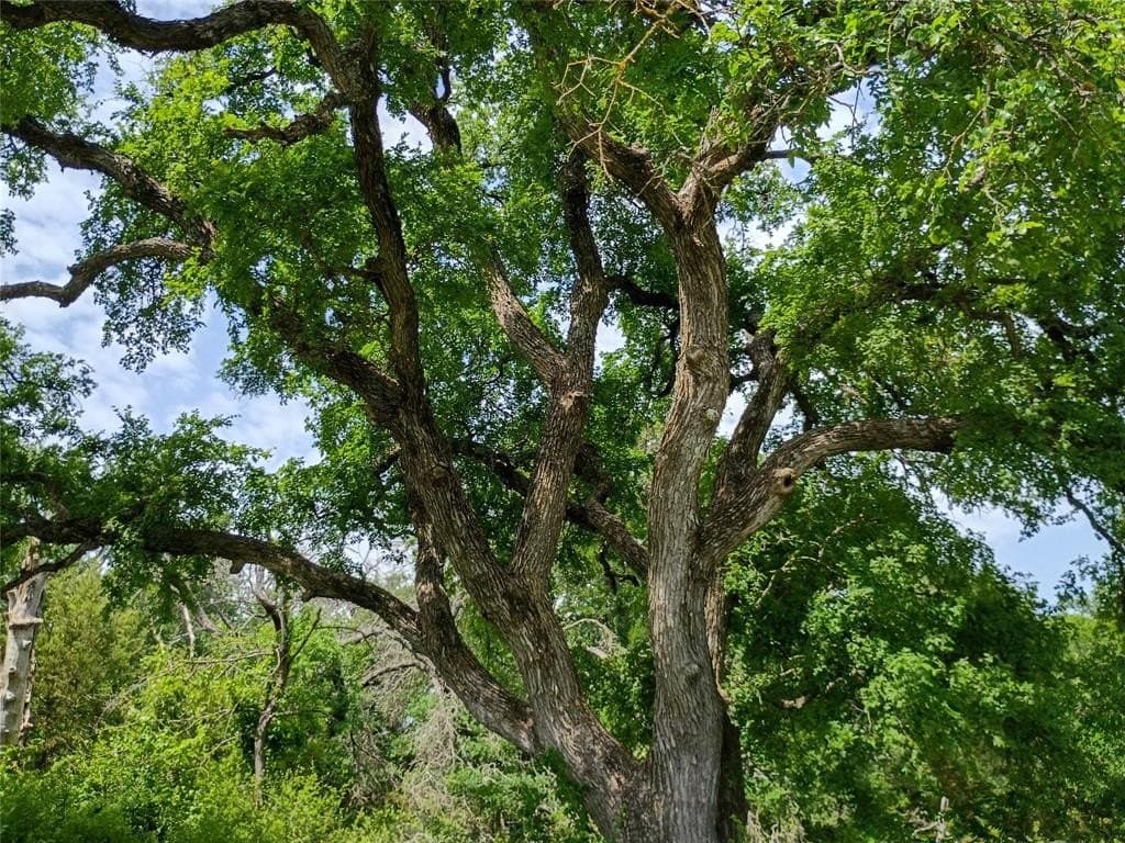 14.52 acres in Hamilton County gallery image 4