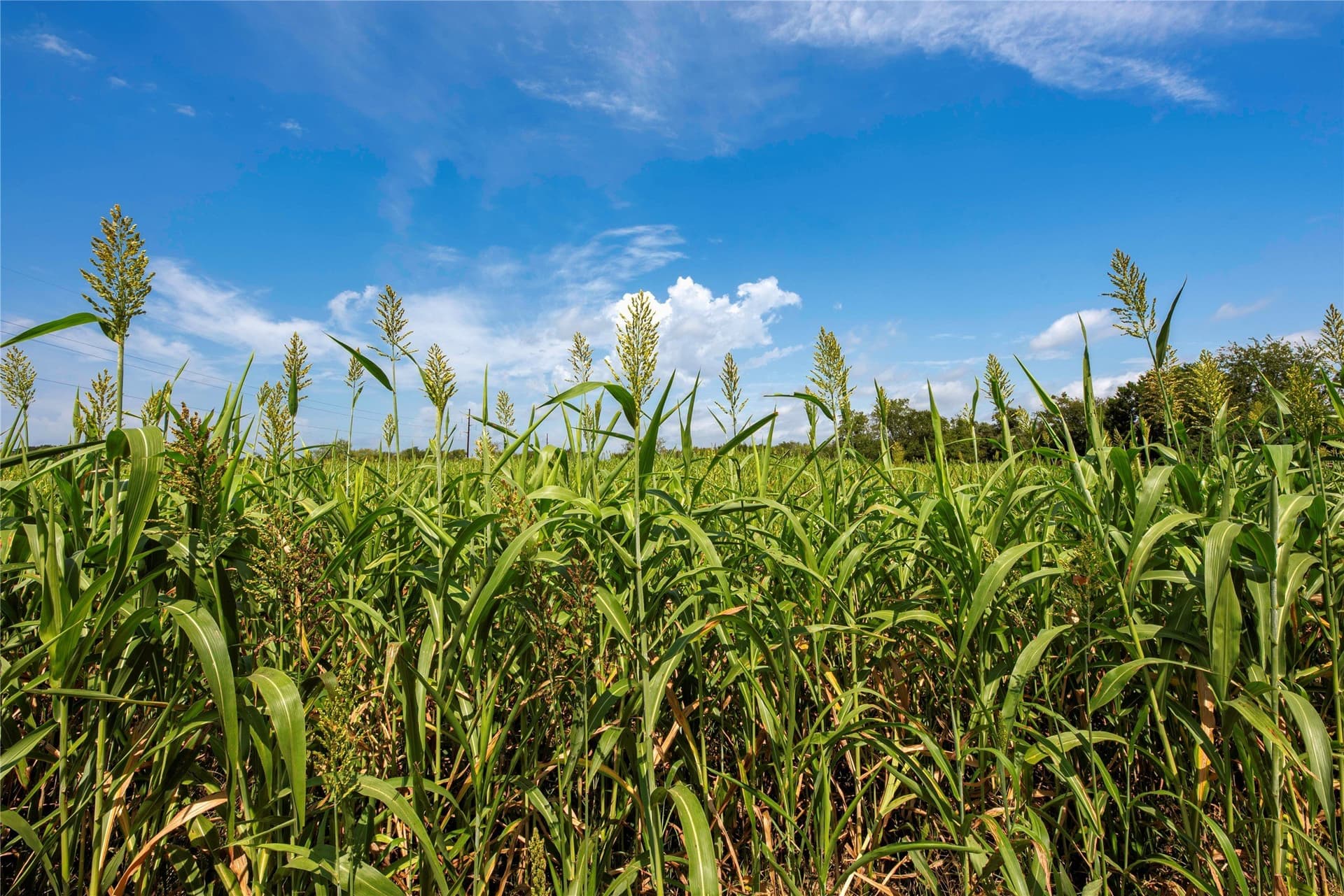 25.32 acres in Bosque County - photo 4