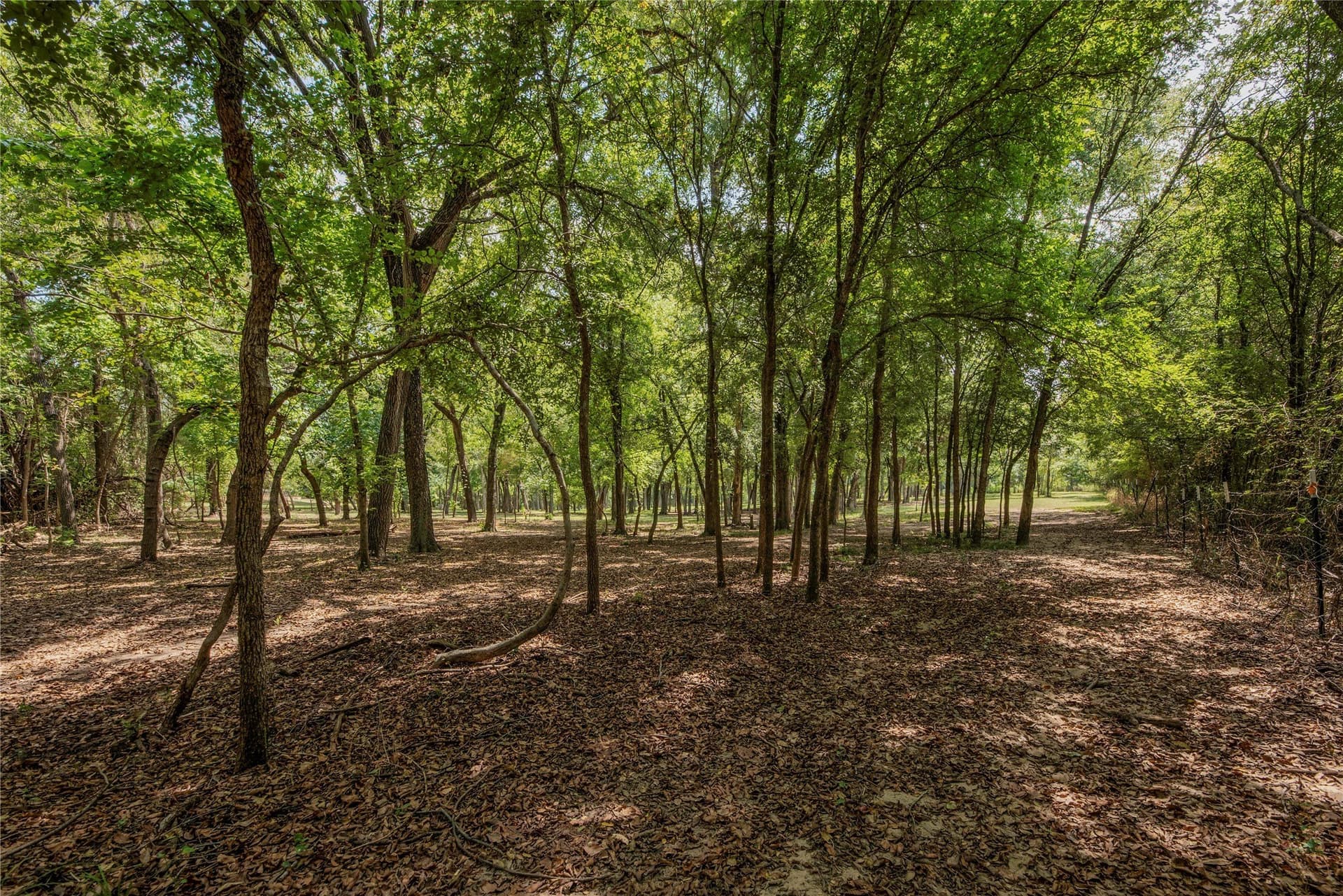 25.32 acres in Bosque County - photo 39