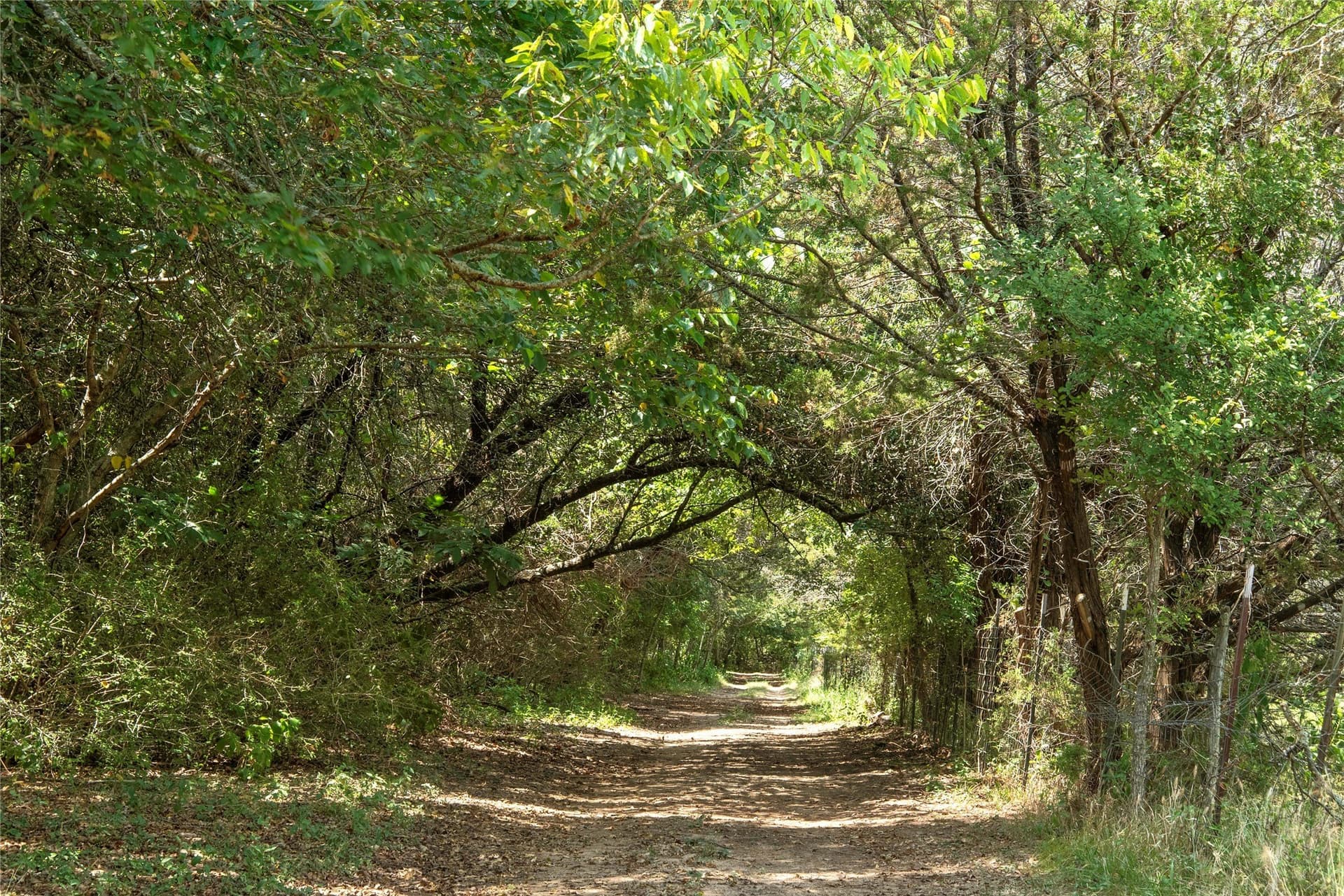 25.32 acres in Bosque County - photo 40