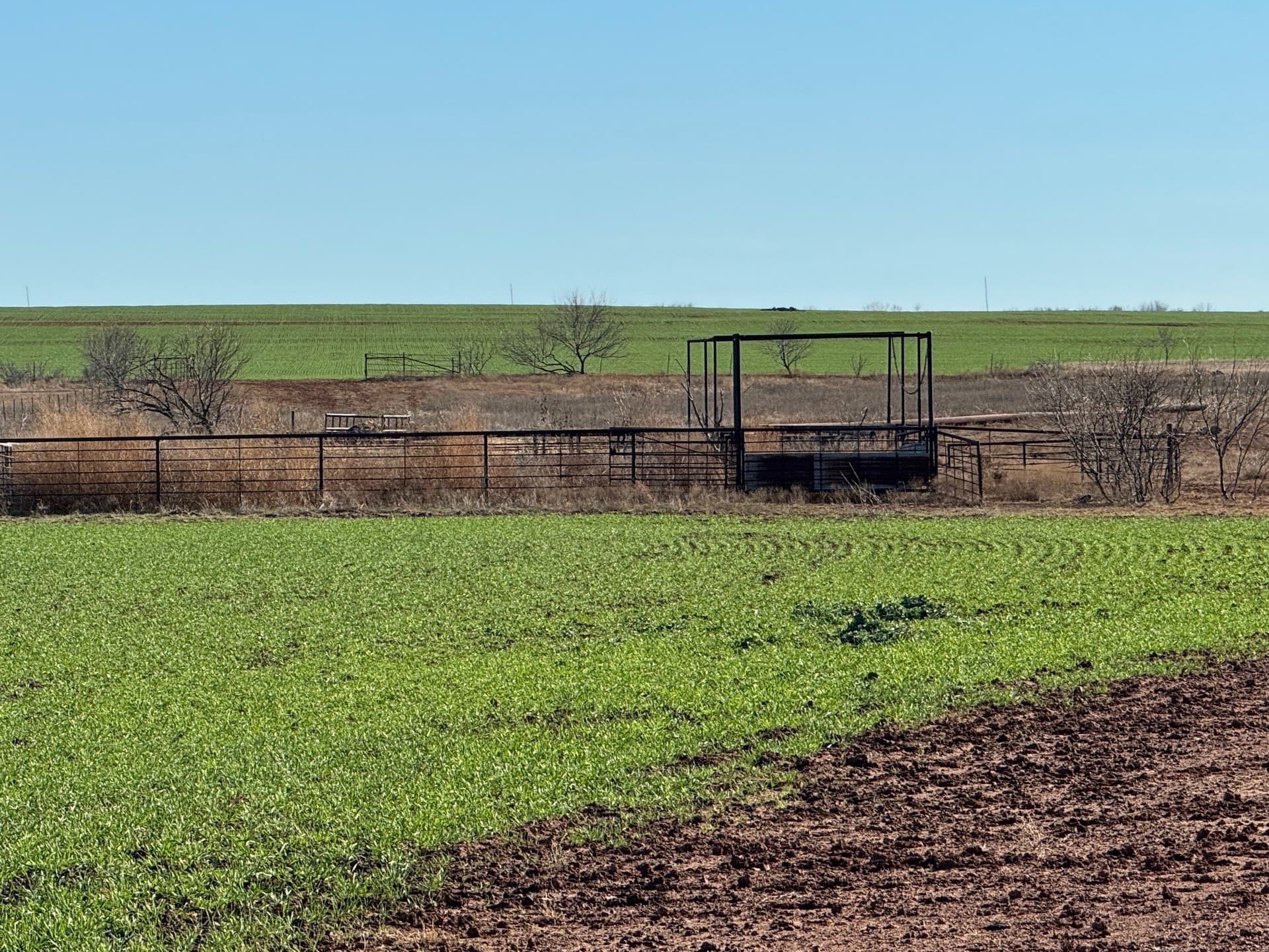 450.25 acres in Baylor County - photo 2